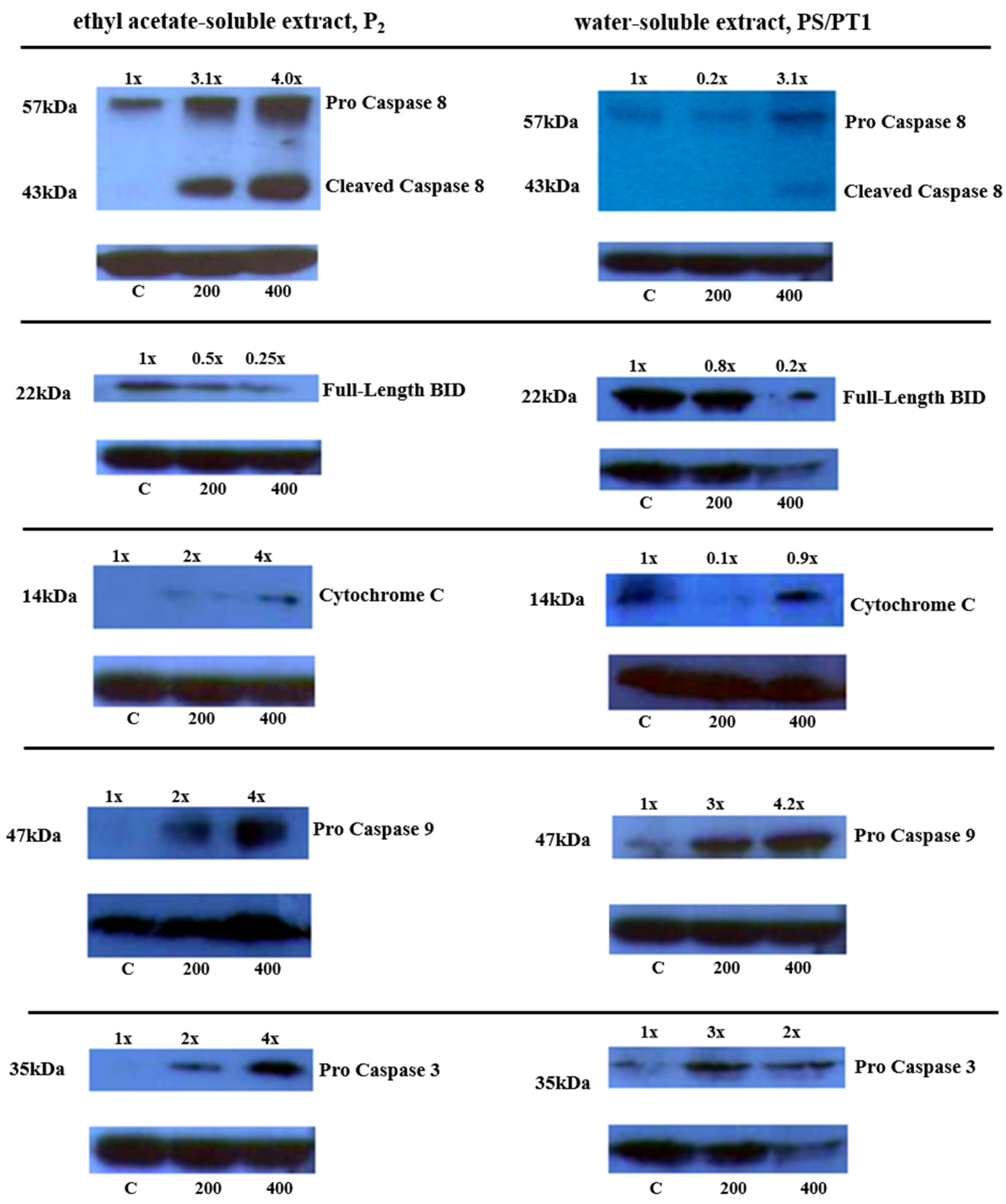 Nutrients 16 02737 g004