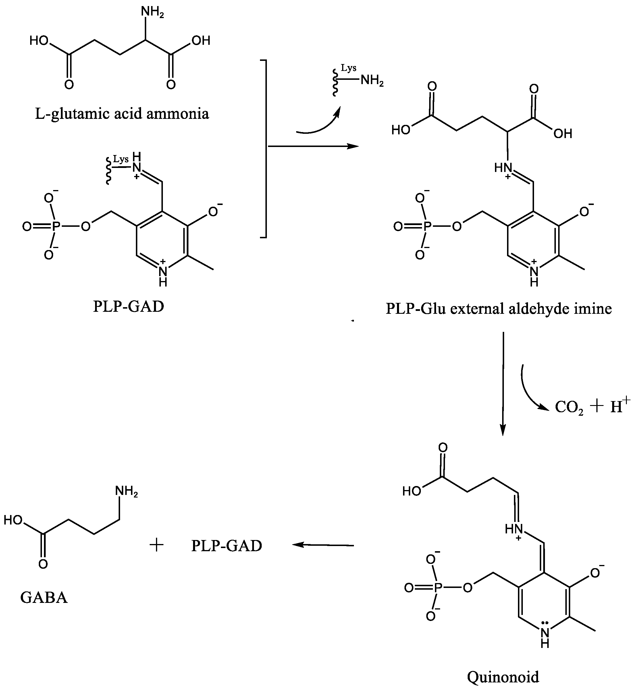 Nutrients 16 02760 g001