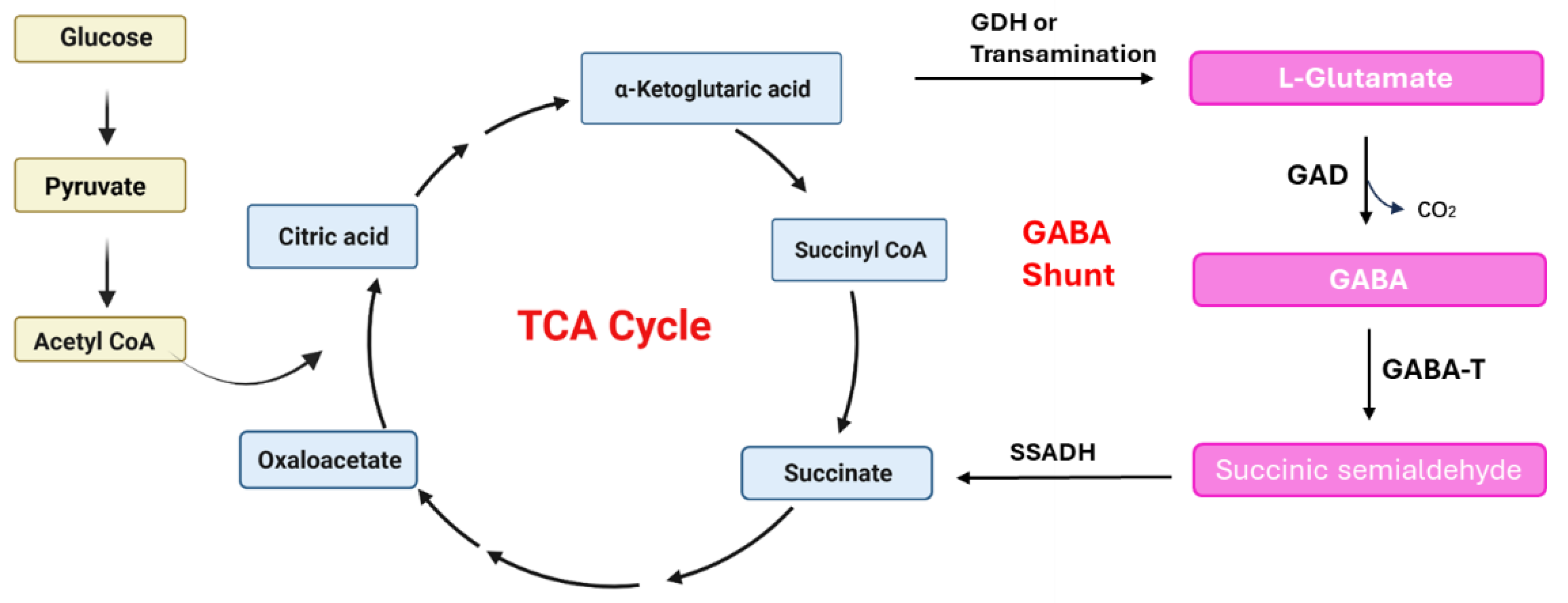 Nutrients 16 02760 g006
