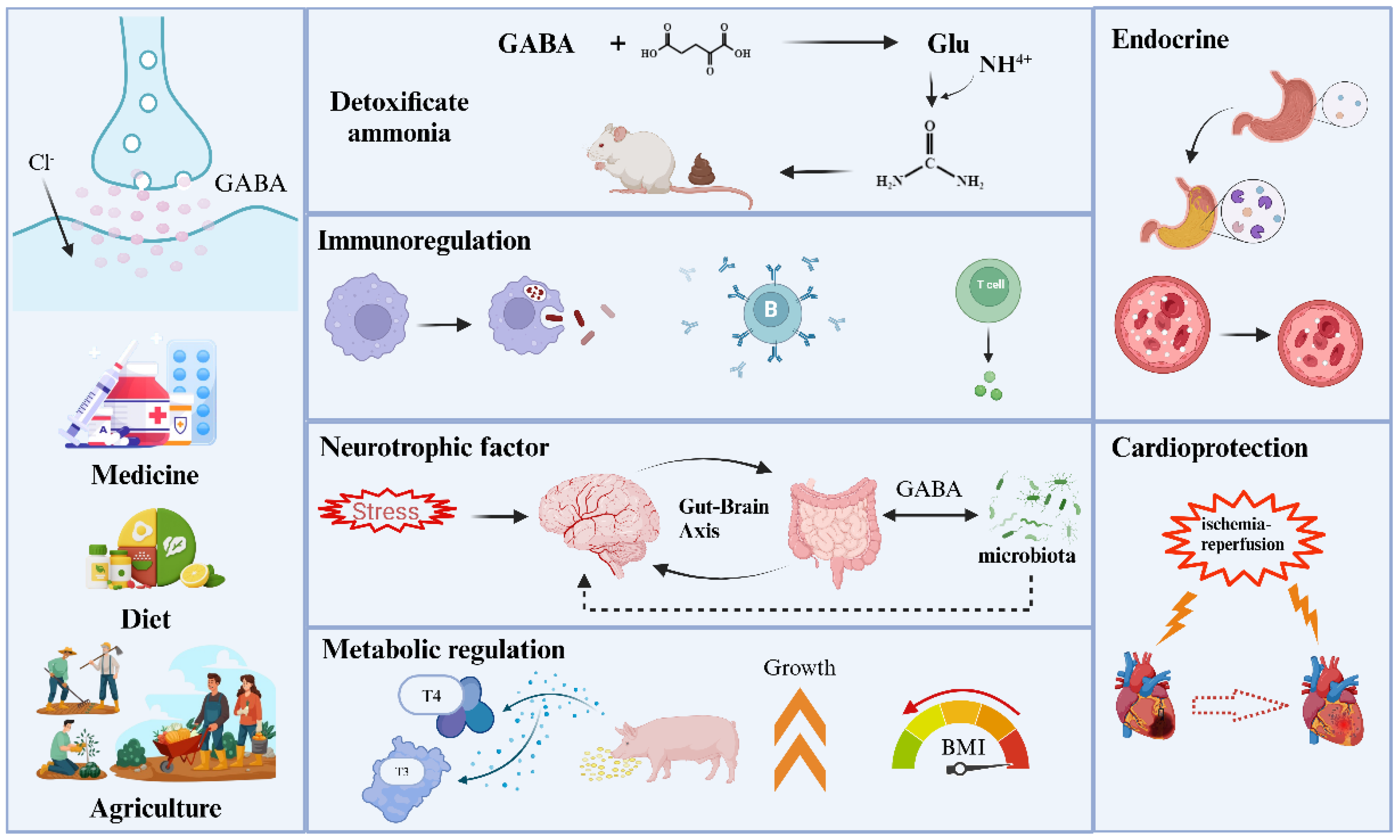 Nutrients 16 02760 g007
