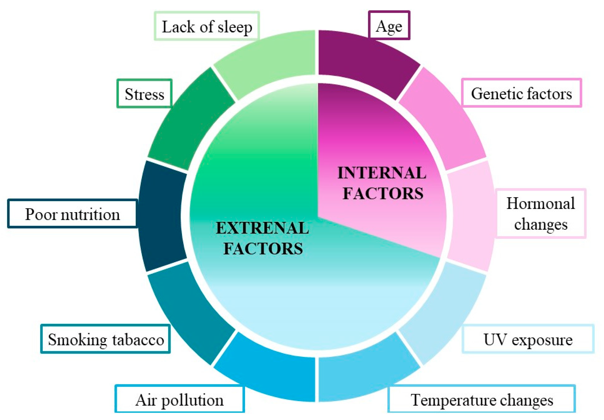 Nutrients 16 02810 g002