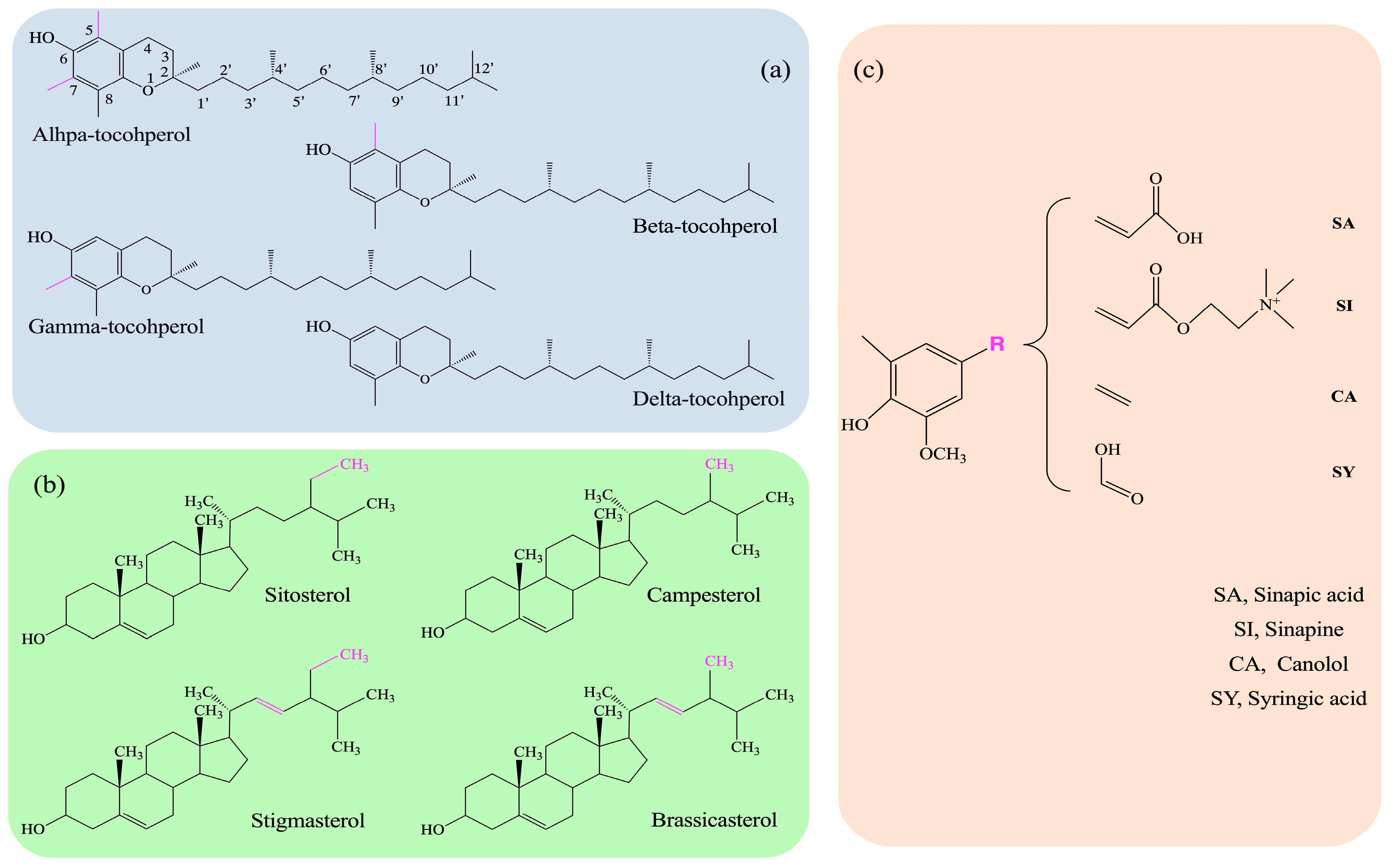 Nutrients 16 02820 g001