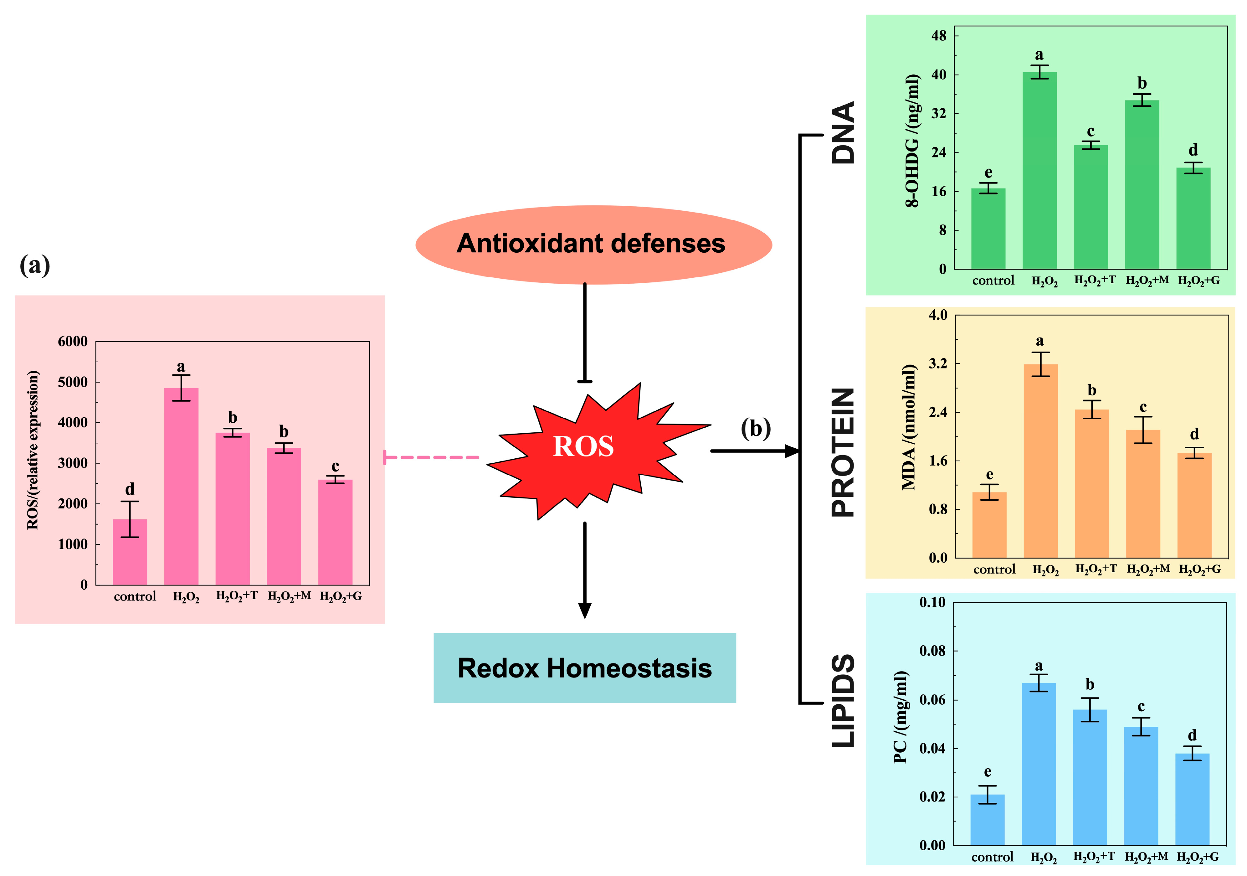 Nutrients 16 02820 g006