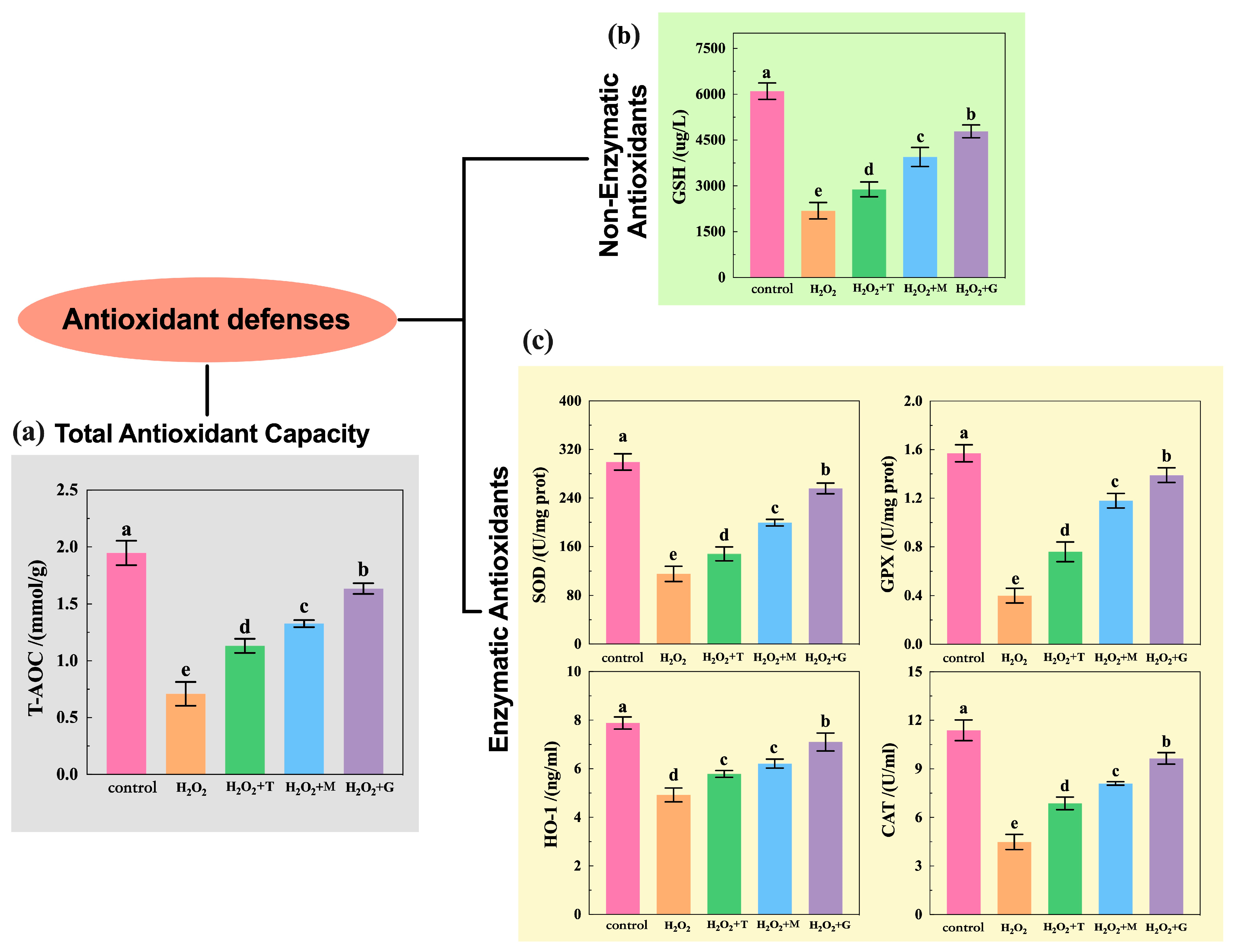 Nutrients 16 02820 g007