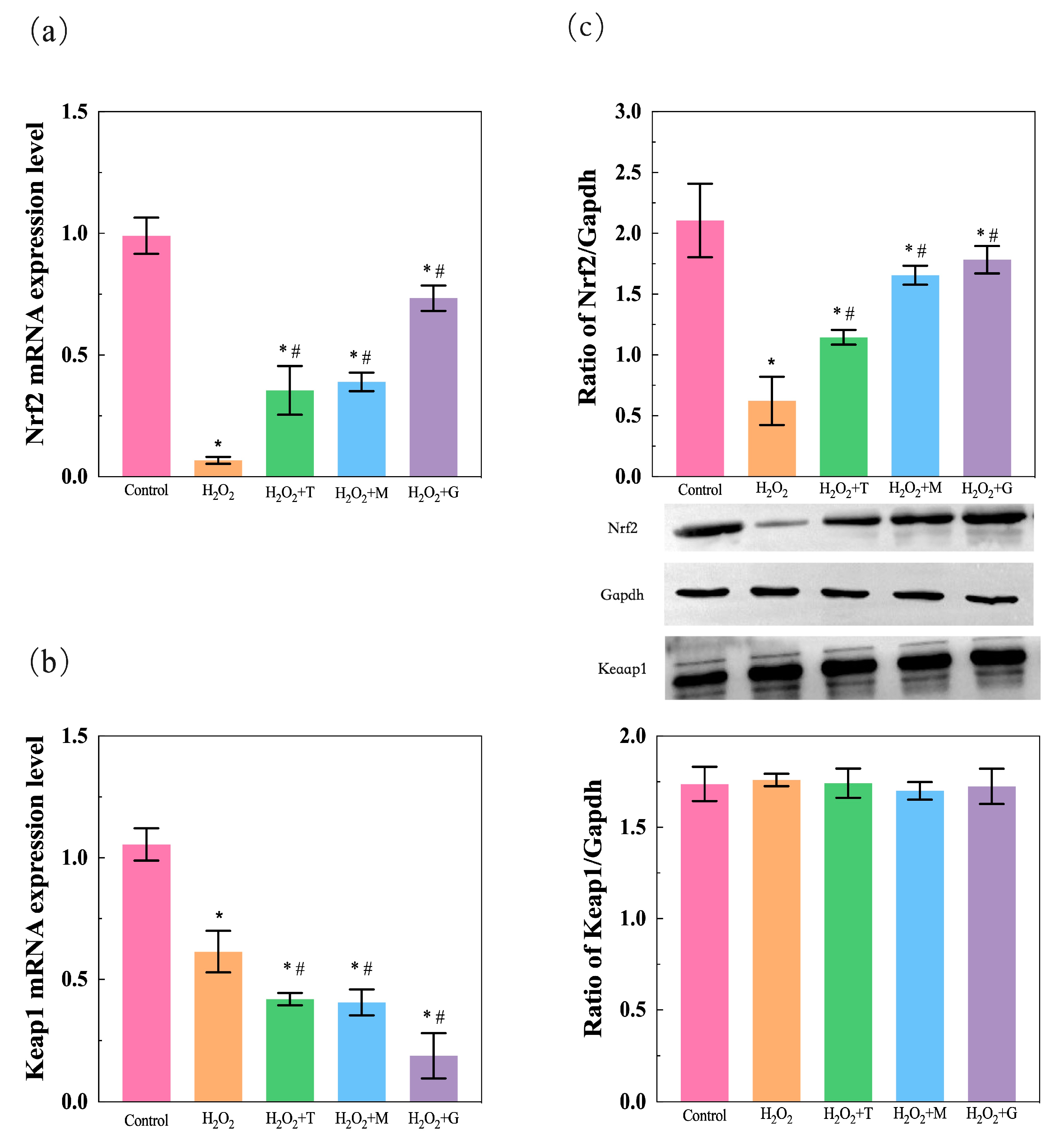Nutrients 16 02820 g009