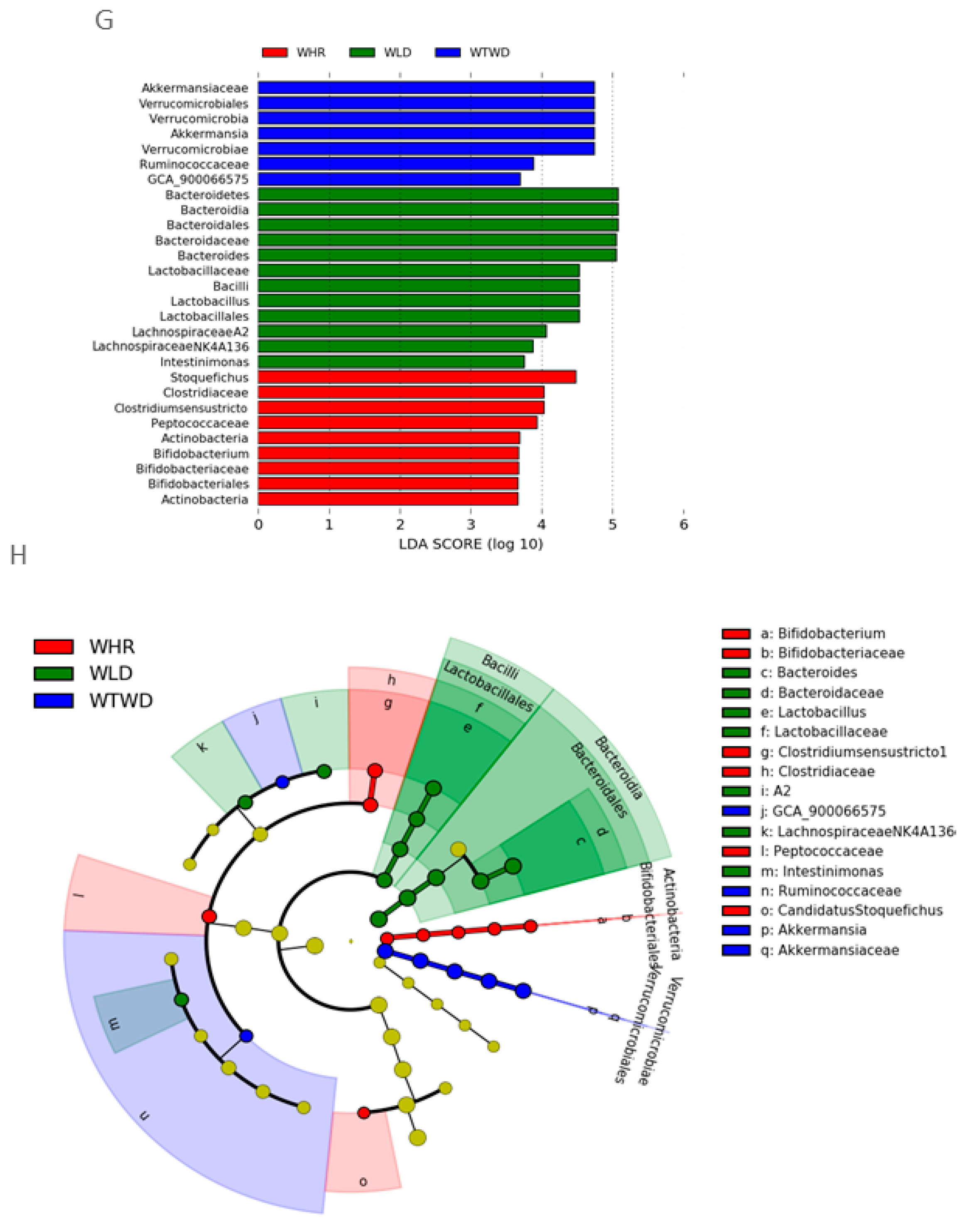 Nutrients 16 02834 g004c
