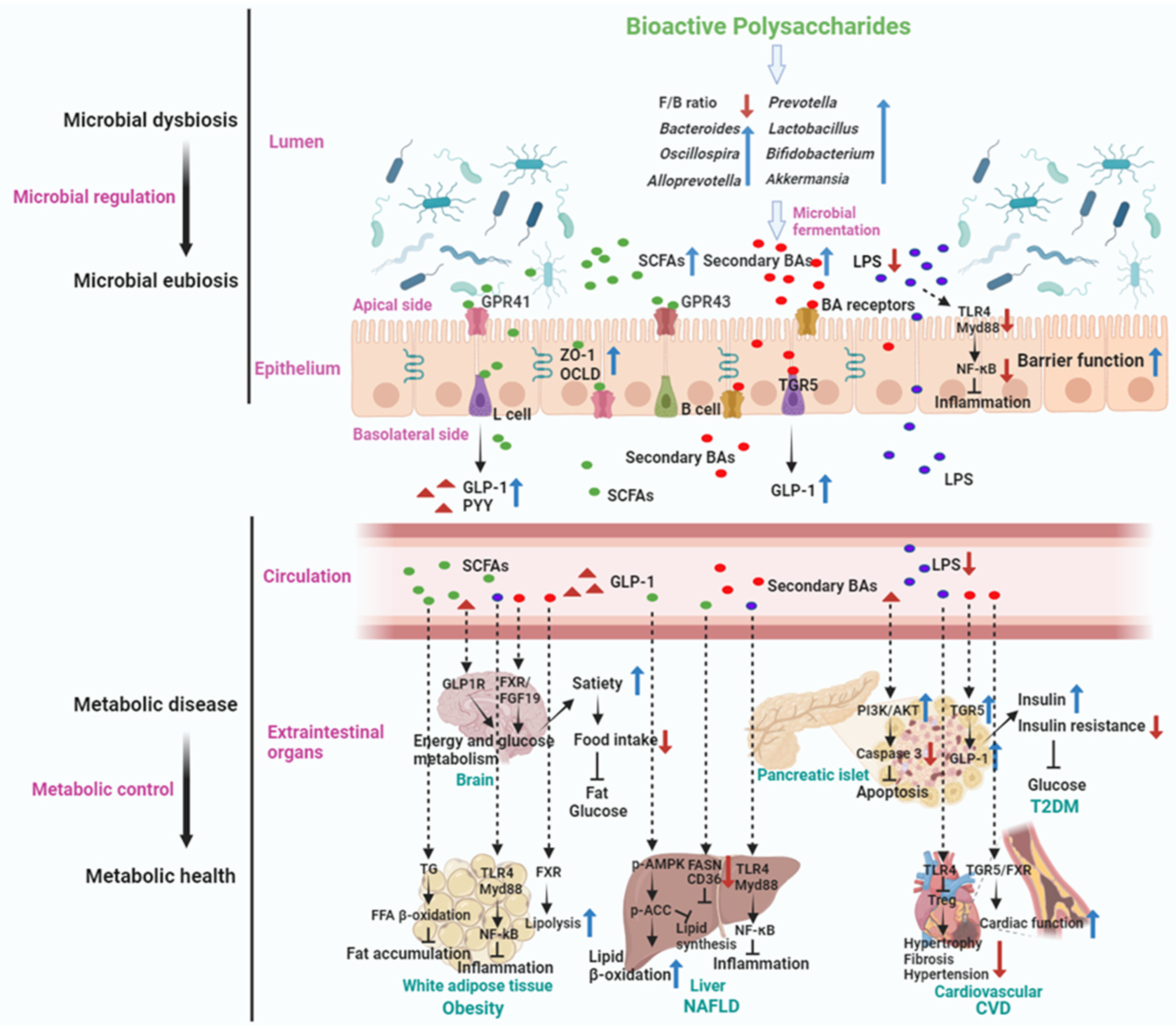 Nutrients 16 02838 g004