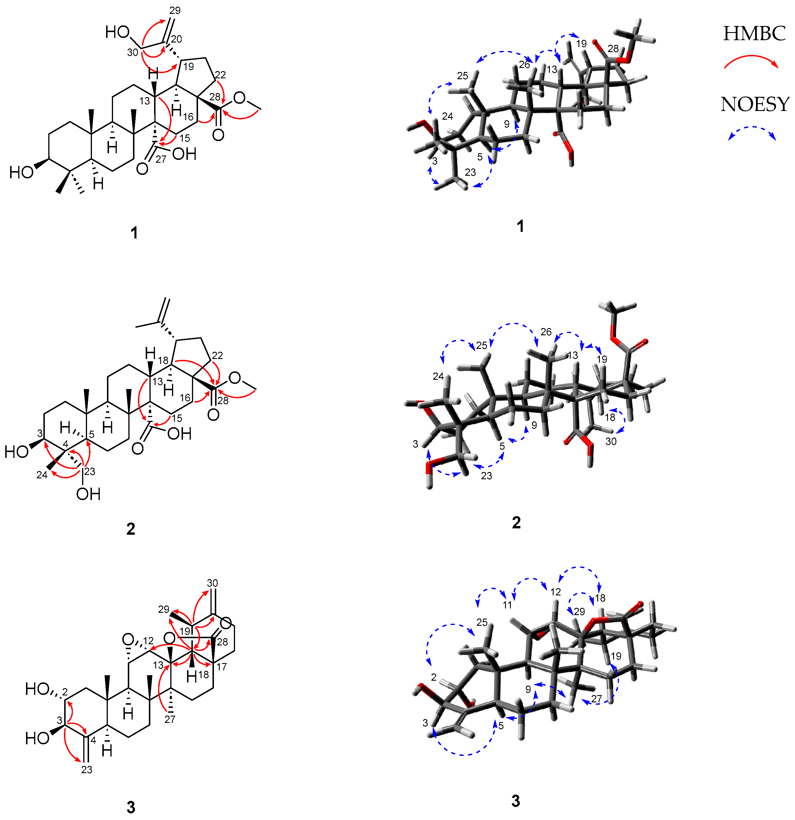 Nutrients 16 02839 g002