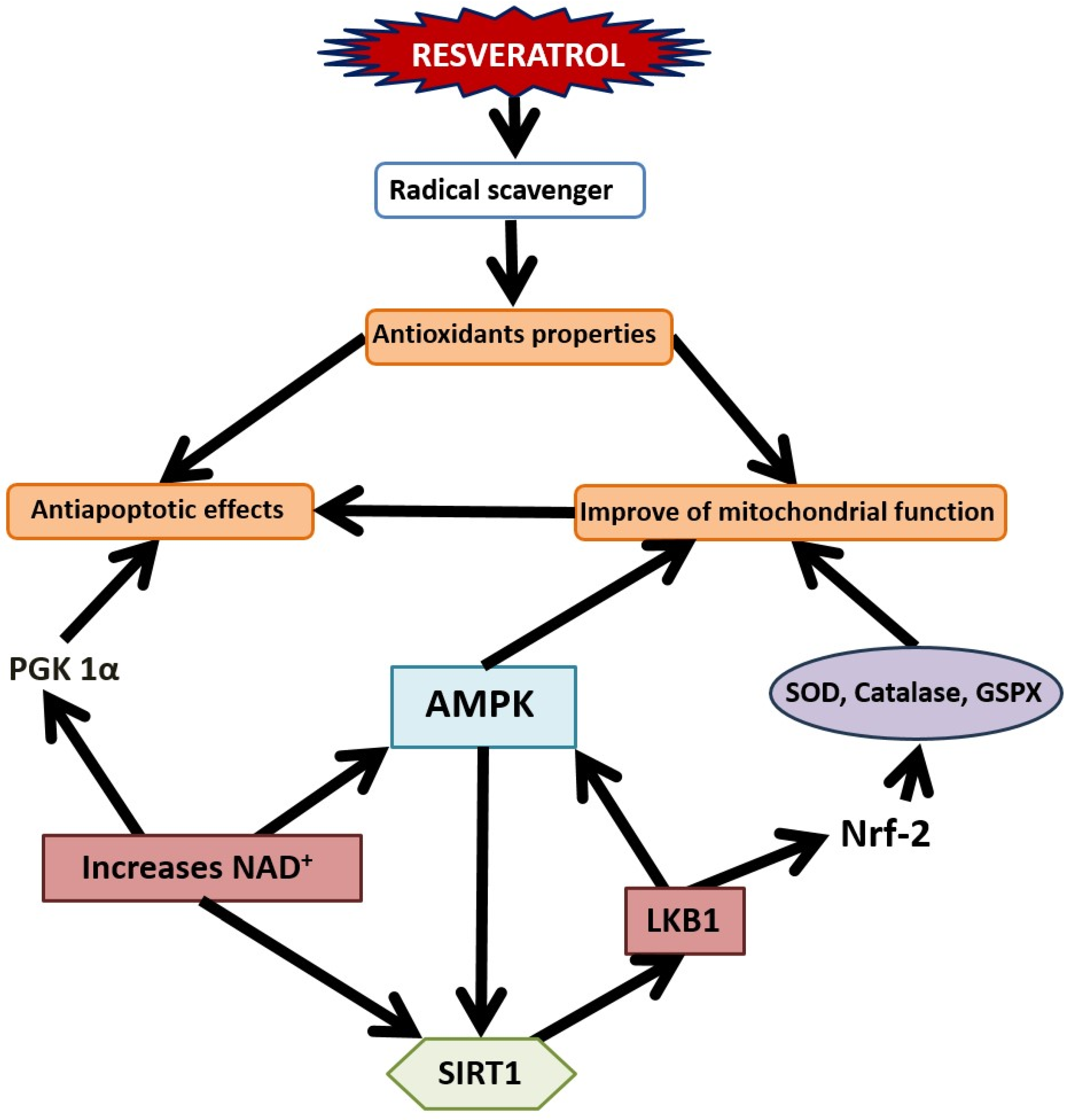 Nutrients 16 02856 g002 Nutrients 16 02856 g002