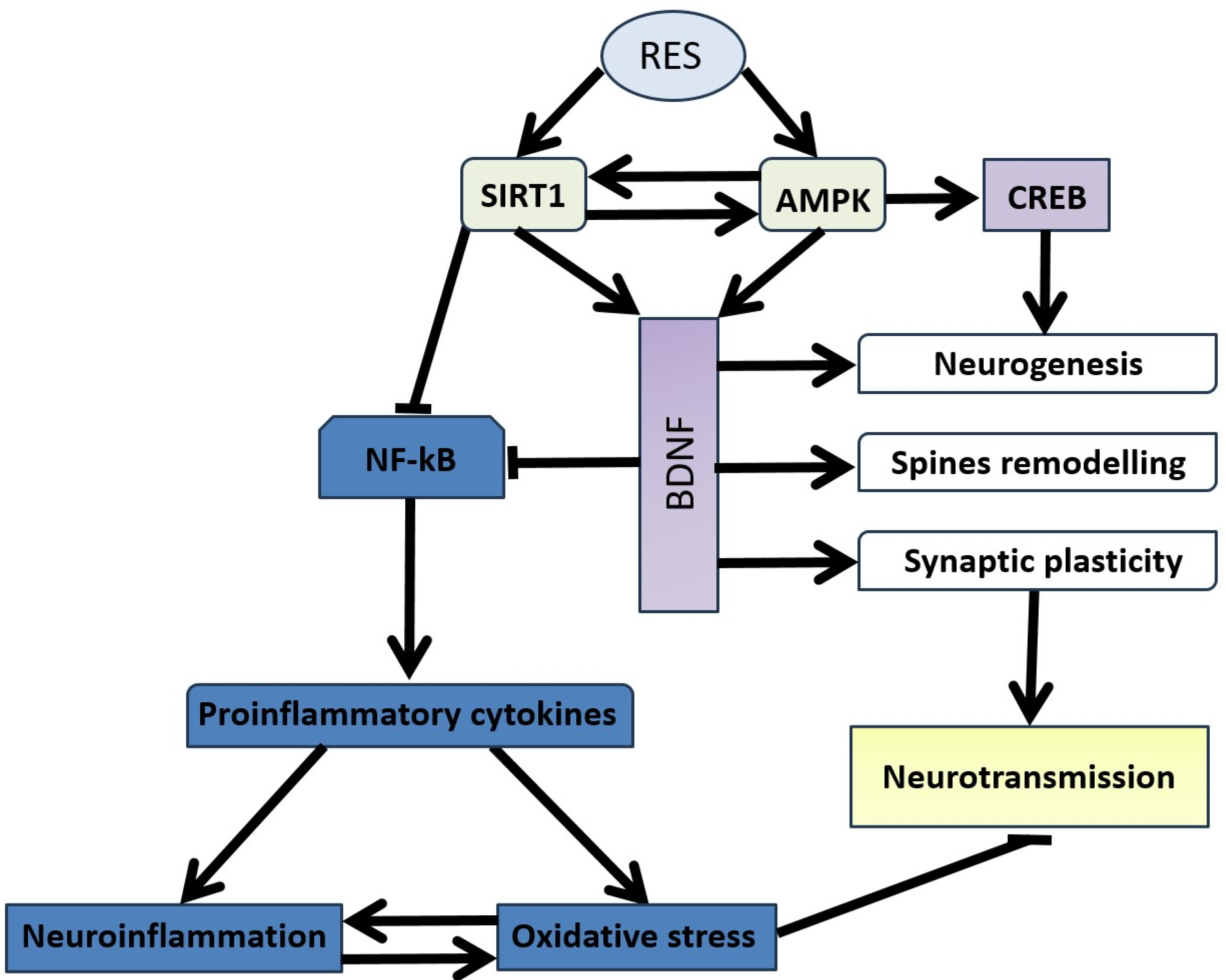 Nutrients 16 02856 g004 Nutrients 16 02856 g004