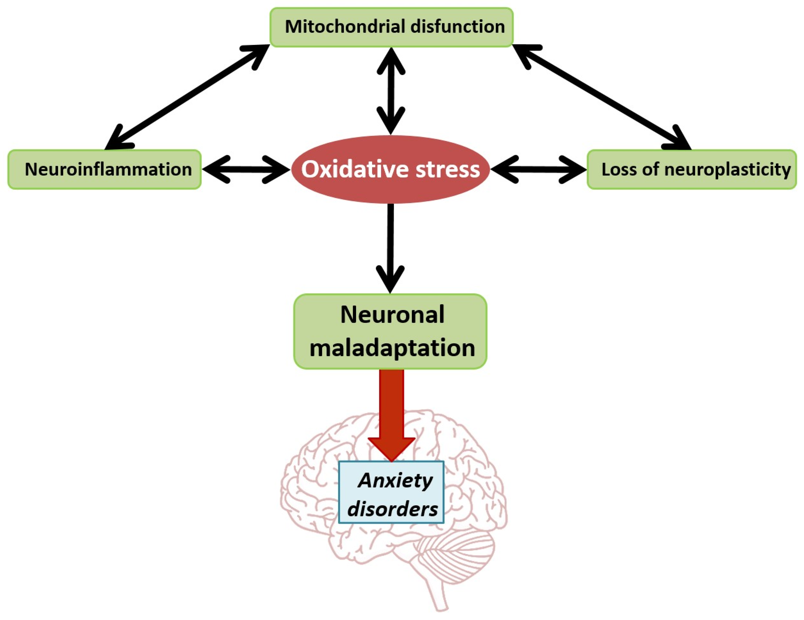 Nutrients 16 02856 g006 Nutrients 16 02856 g006