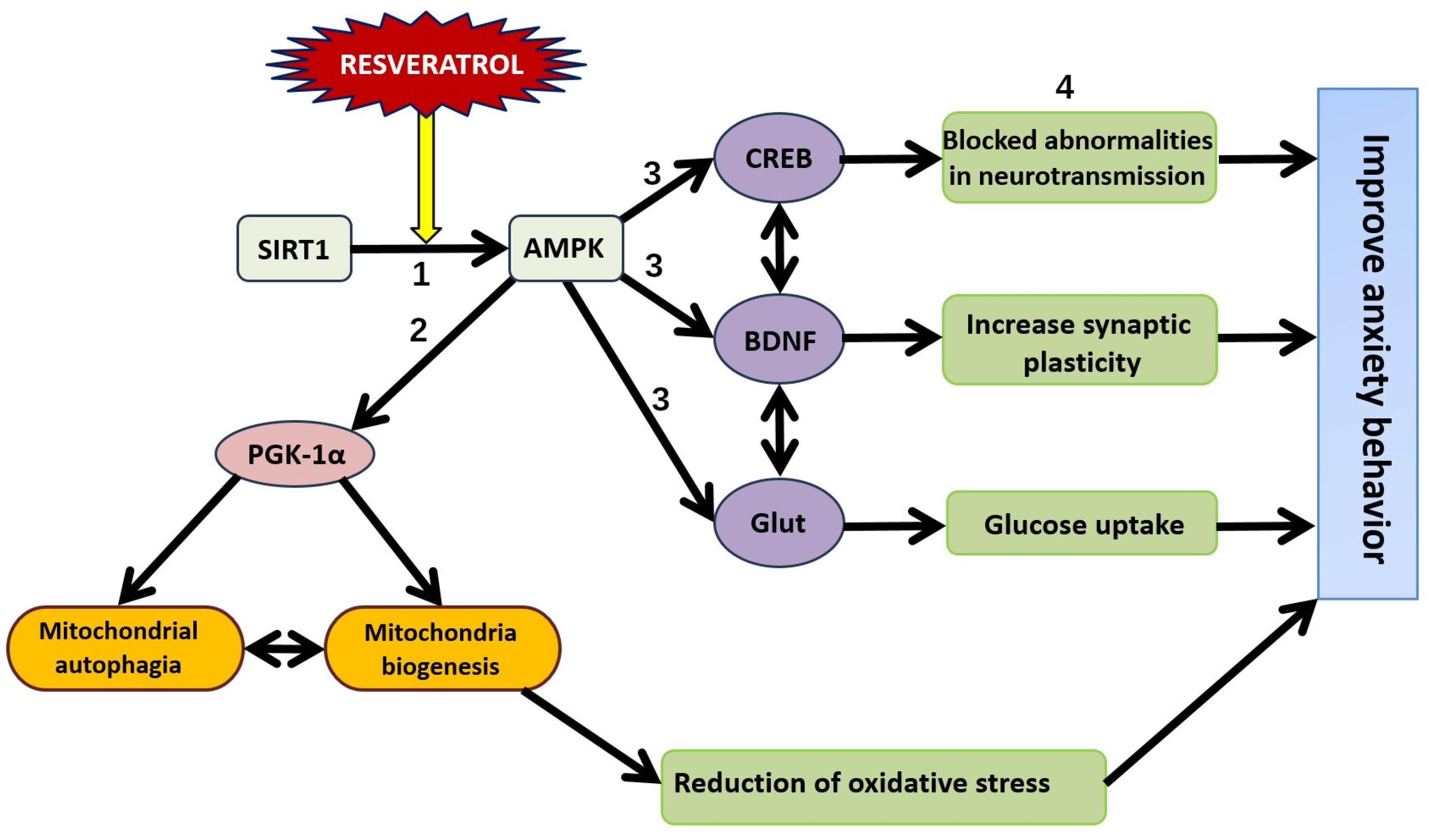 Nutrients 16 02856 g007 Nutrients 16 02856 g007