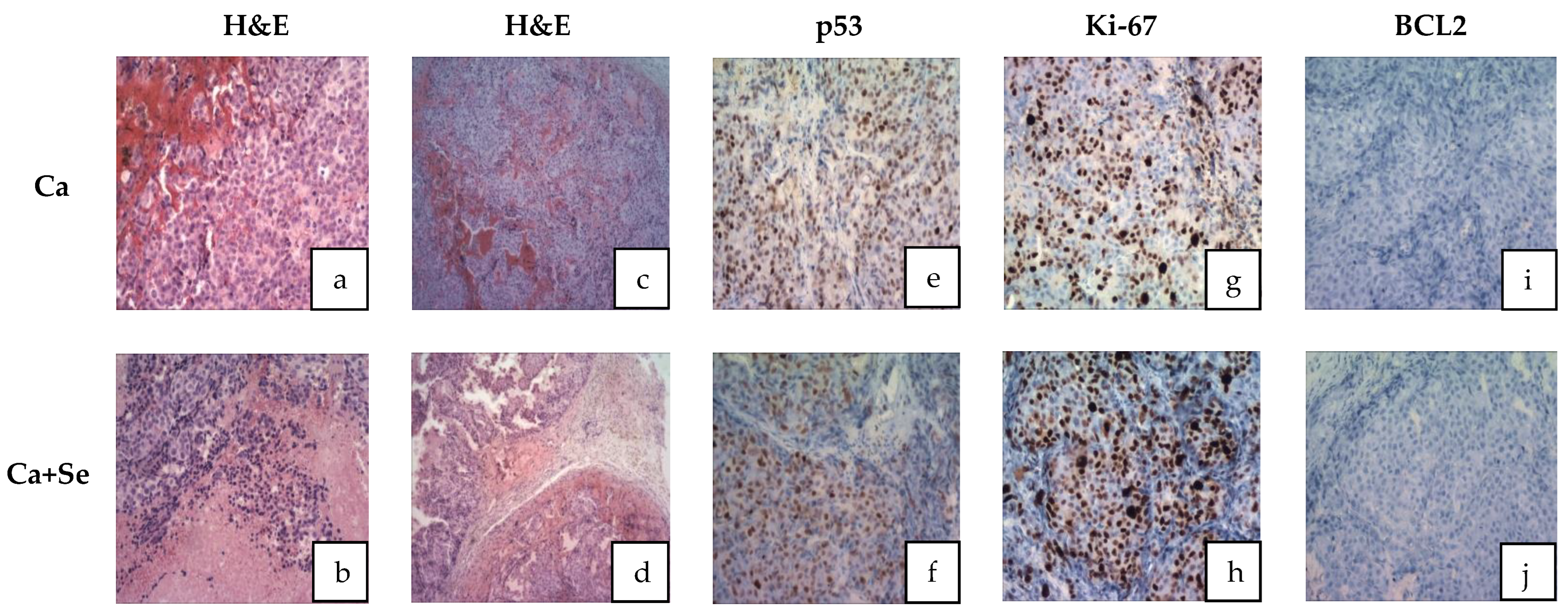 Nutrients 16 02860 g003
