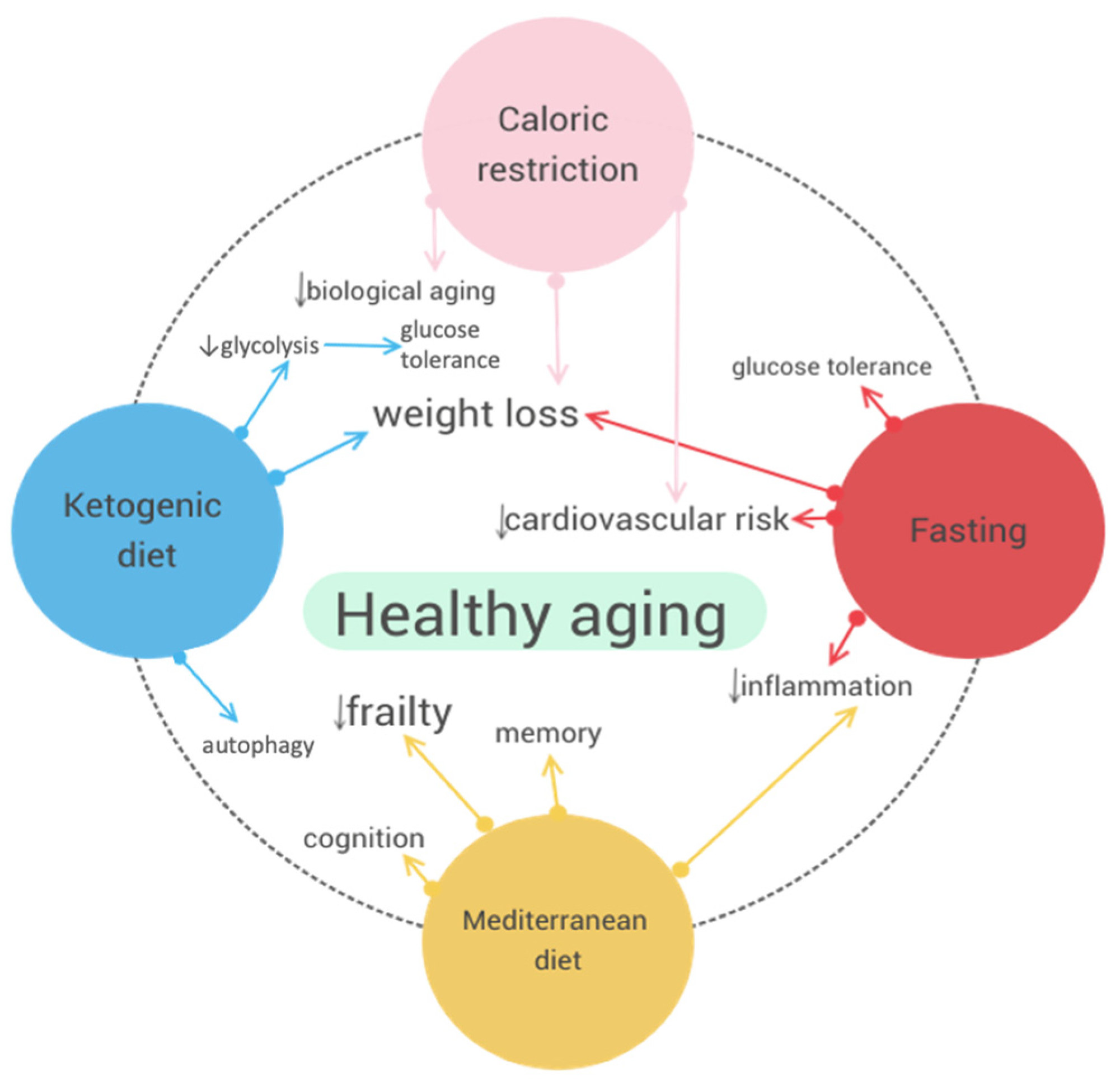 Nutrients 16 02878 g001
