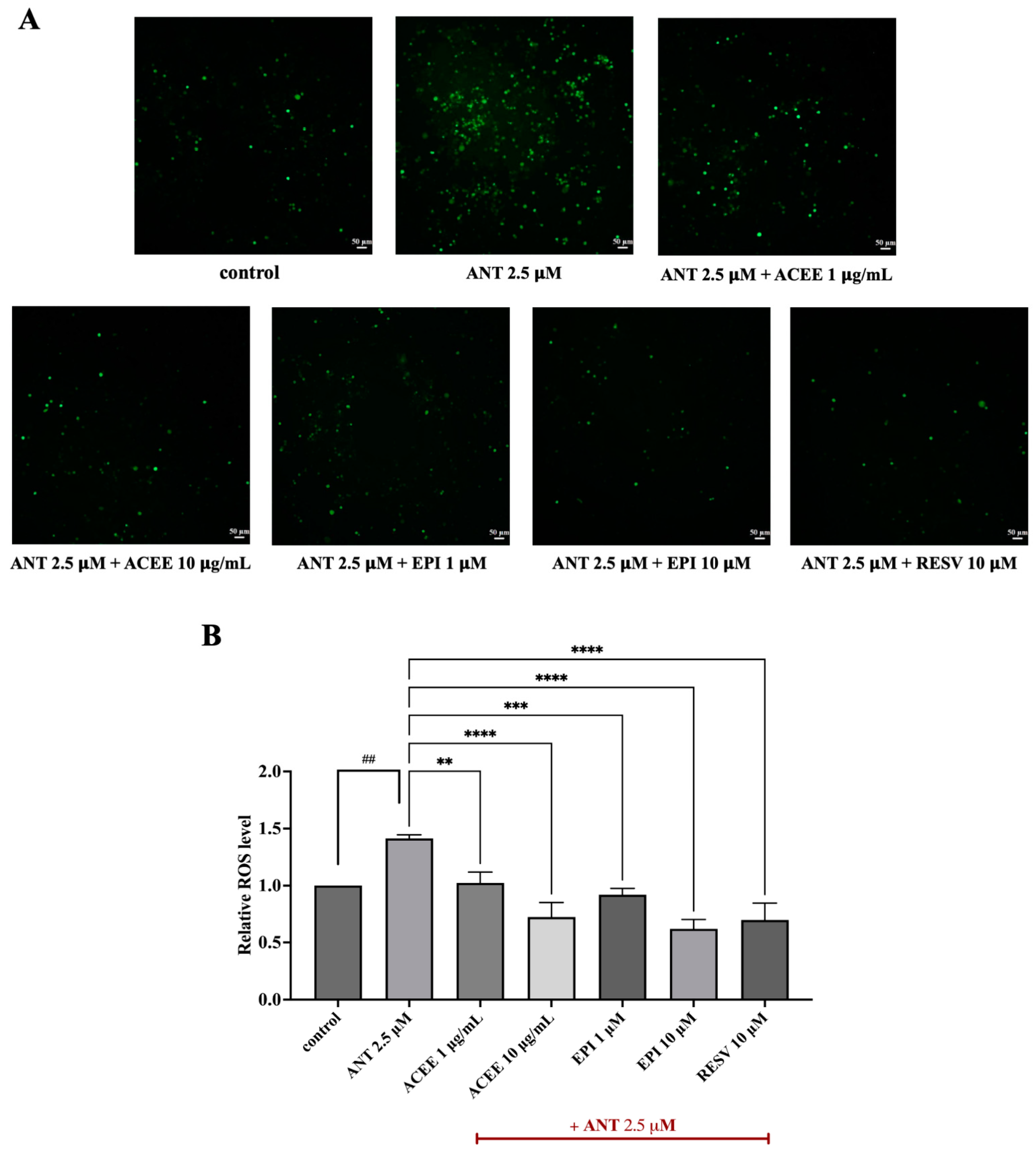 Nutrients 16 02882 g005