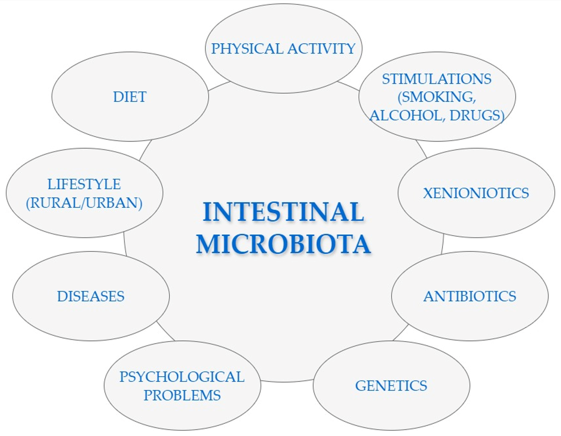 Nutrients 16 02891 g001