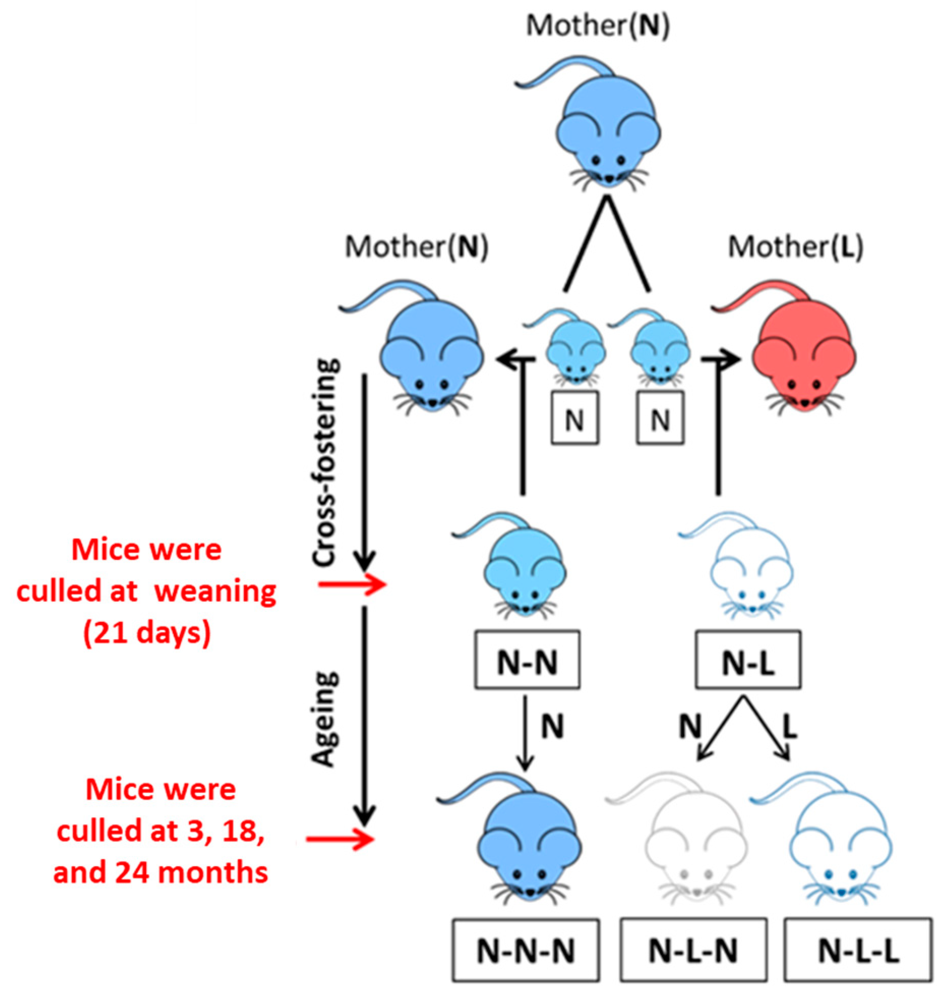 Nutrients 16 02926 g001