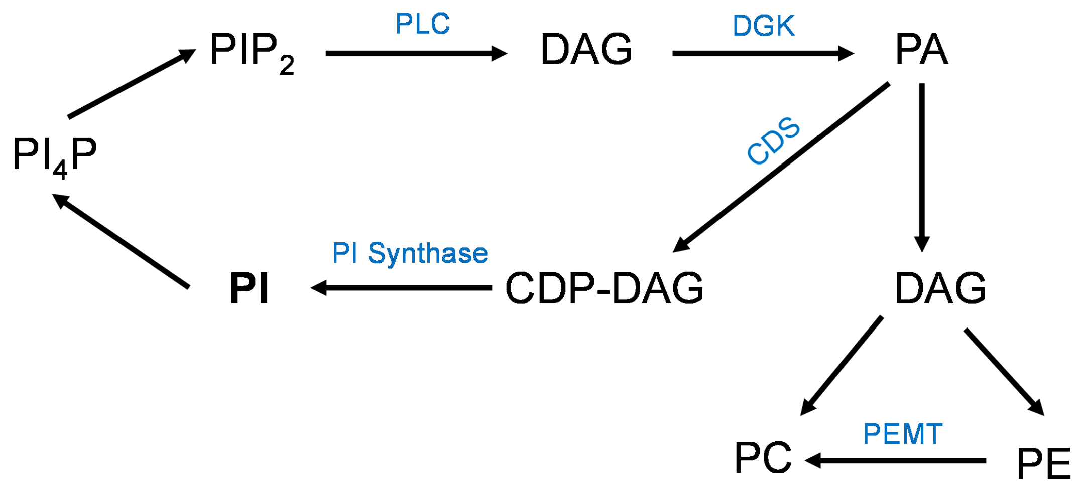 Nutrients 16 02934 g007