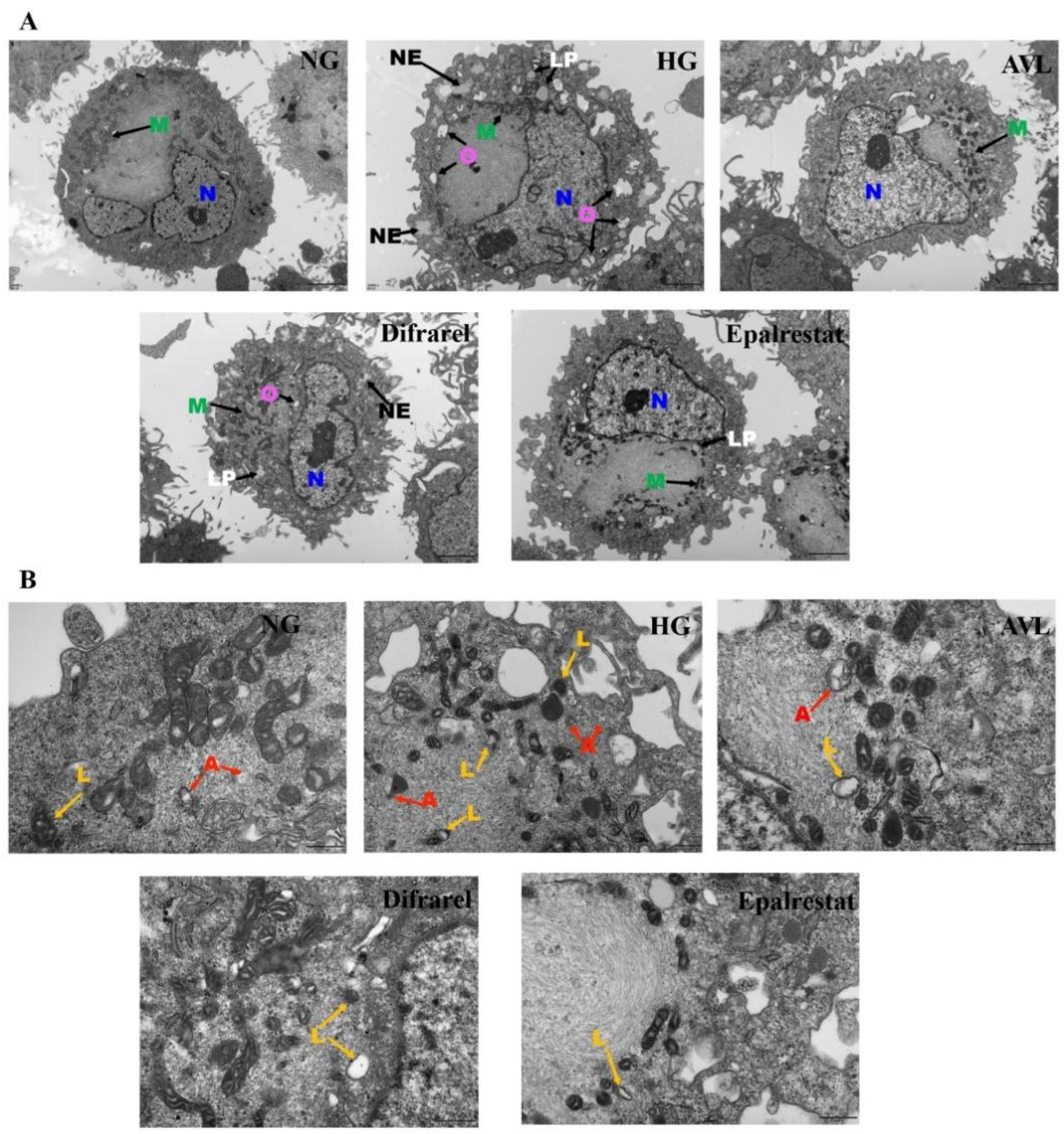 Nutrients 16 02944 g006