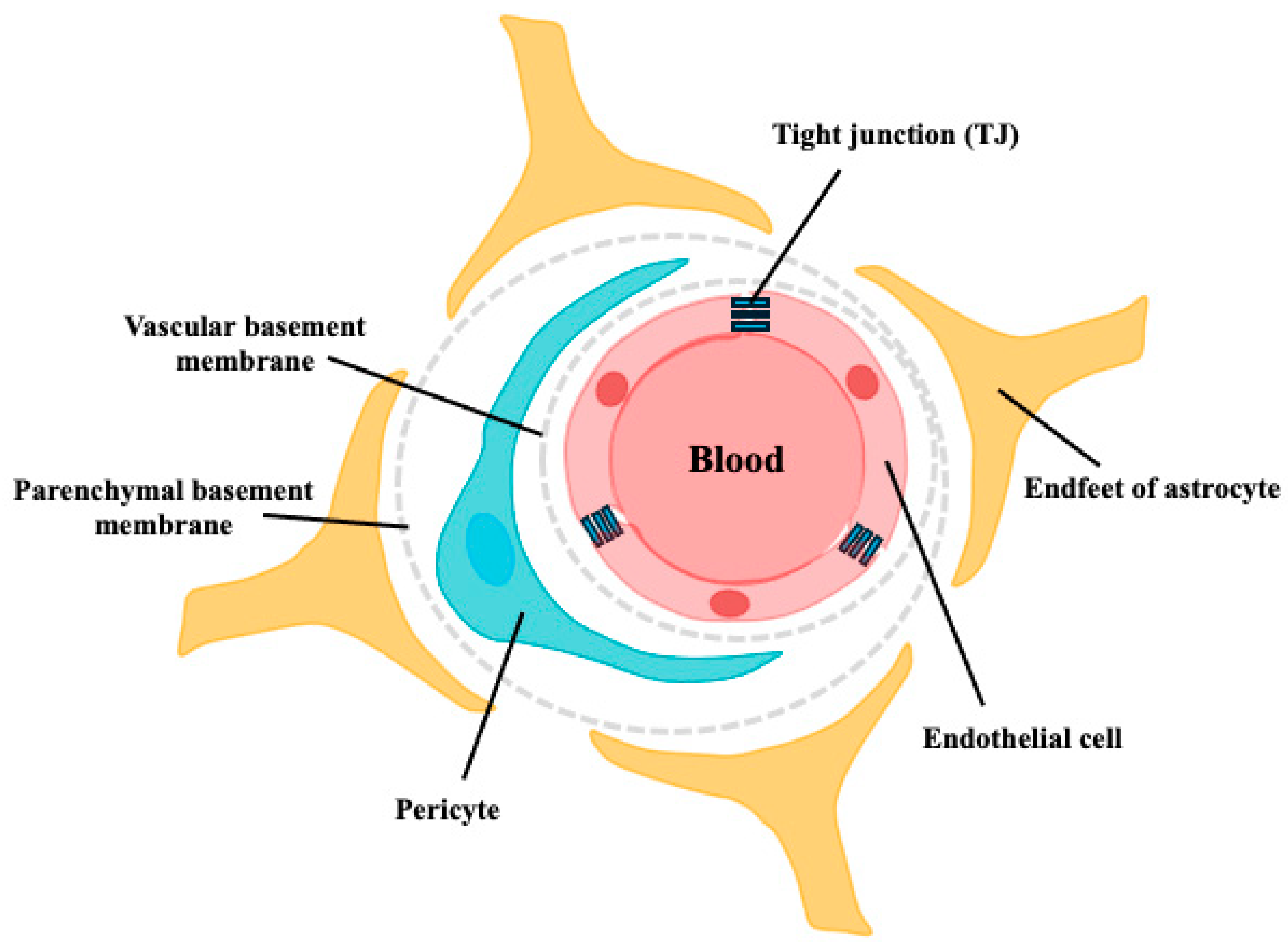 Nutrients 16 02947 g001