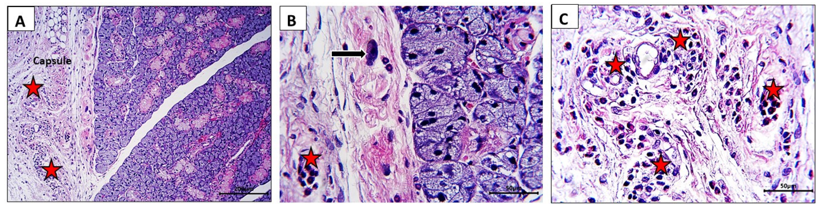 Nutrients 16 02958 g005