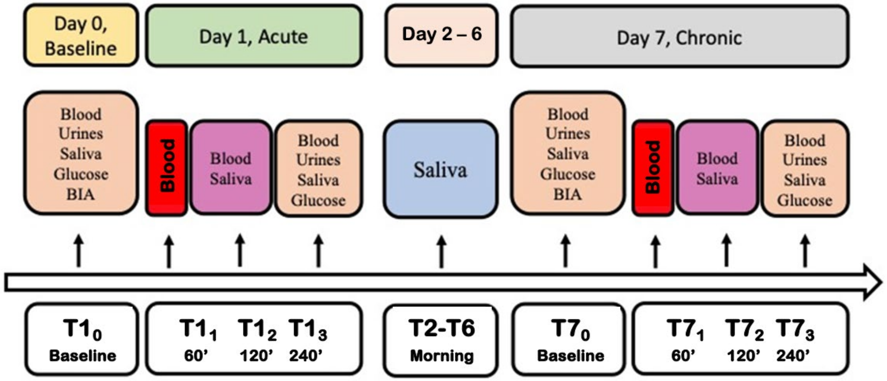 Nutrients 16 02965 g001