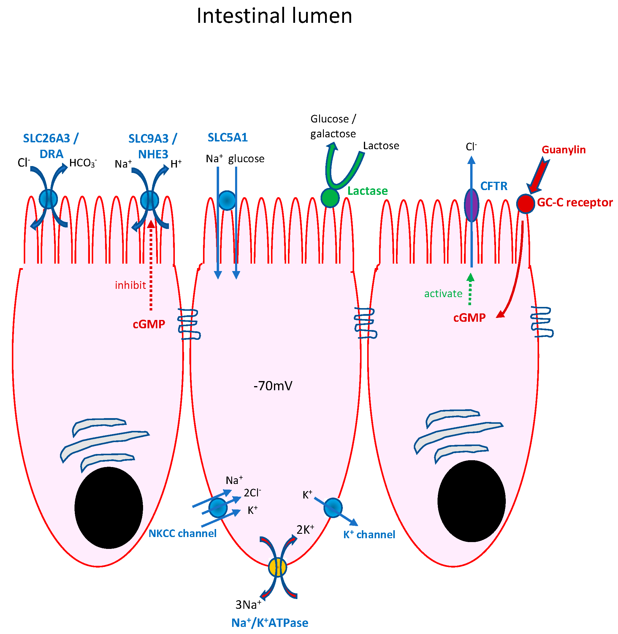Nutrients 16 02971 g002