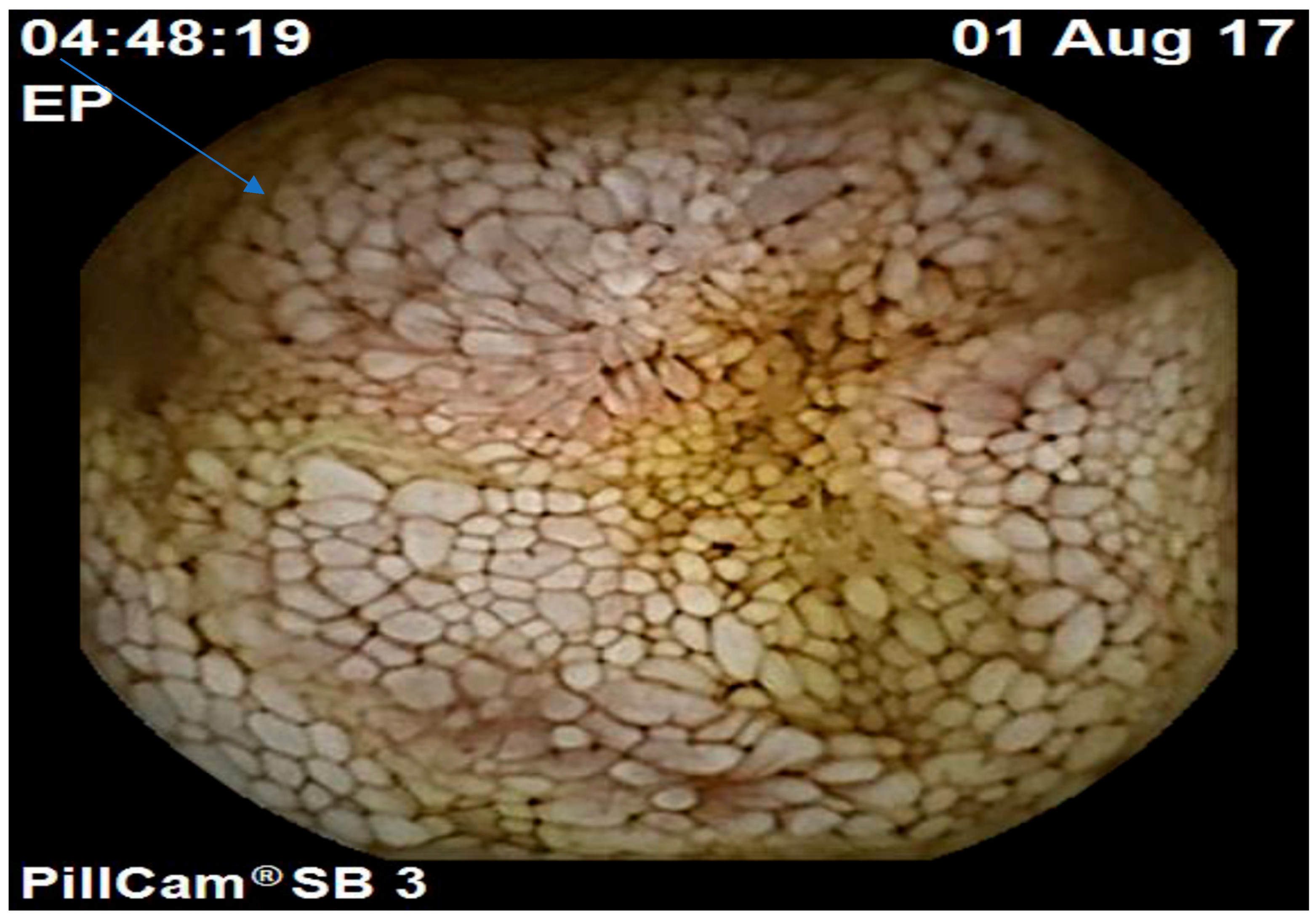 Nutrients 16 02971 sch001
