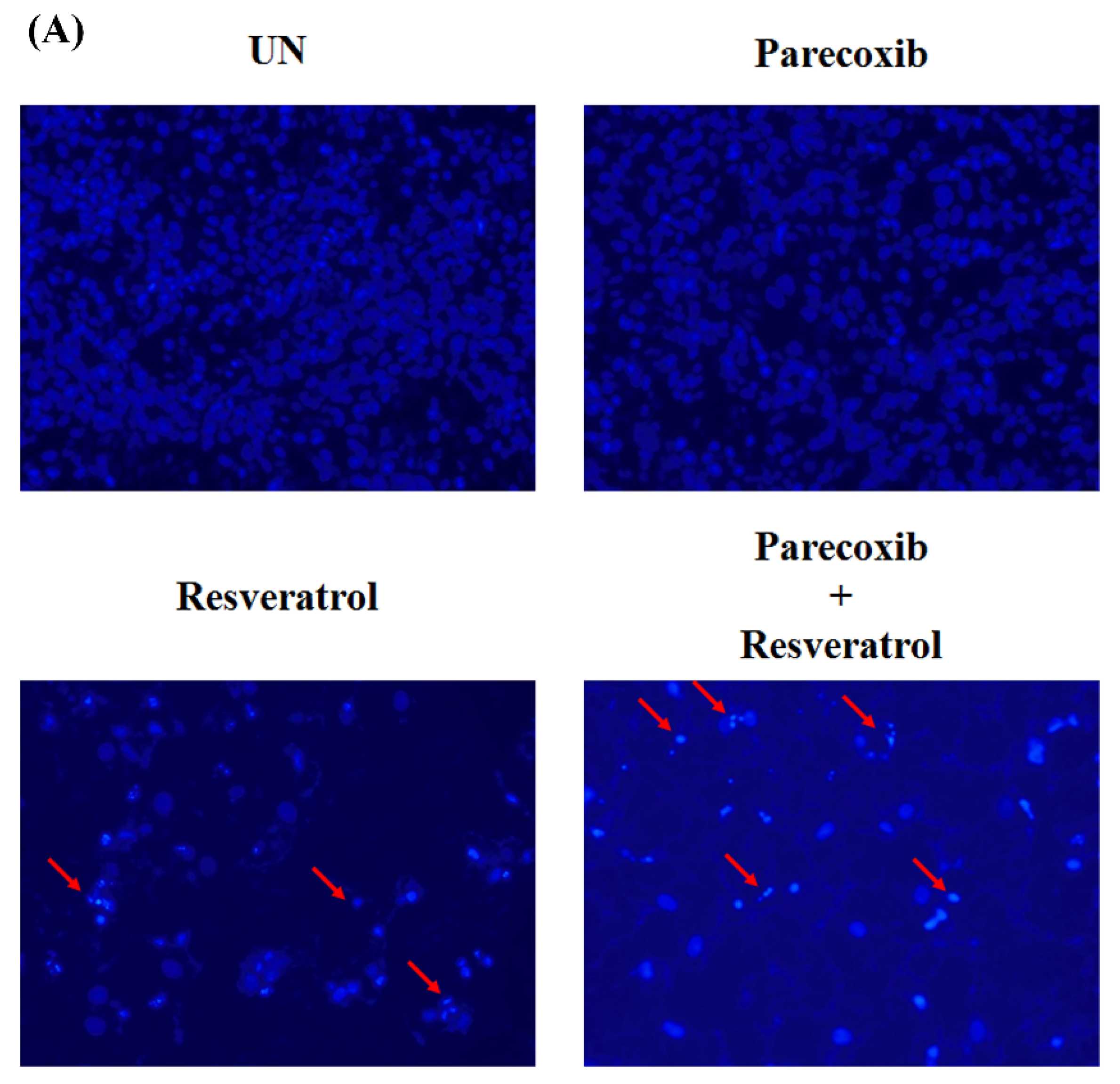 Nutrients 16 03020 g002a