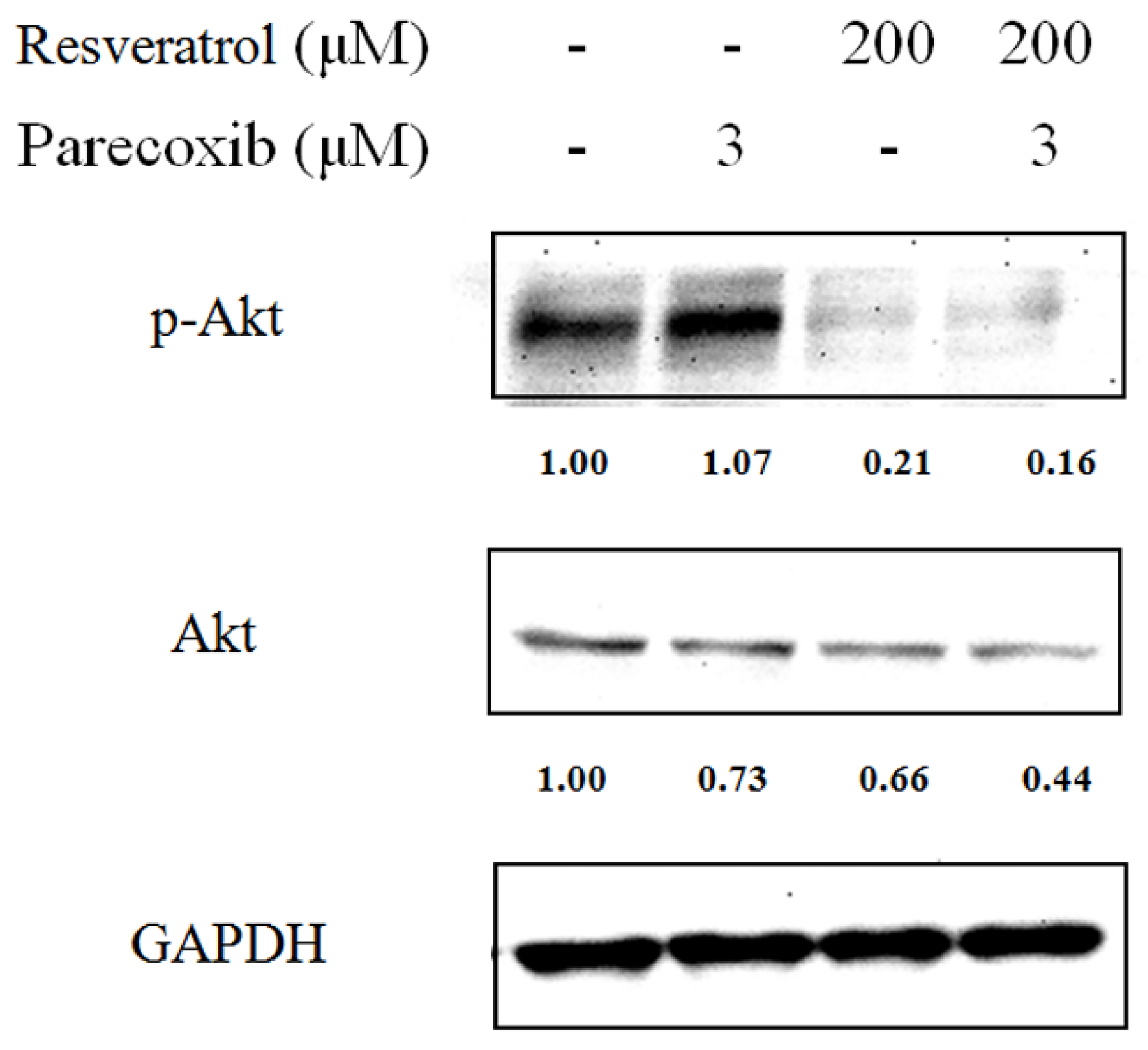 Nutrients 16 03020 g004