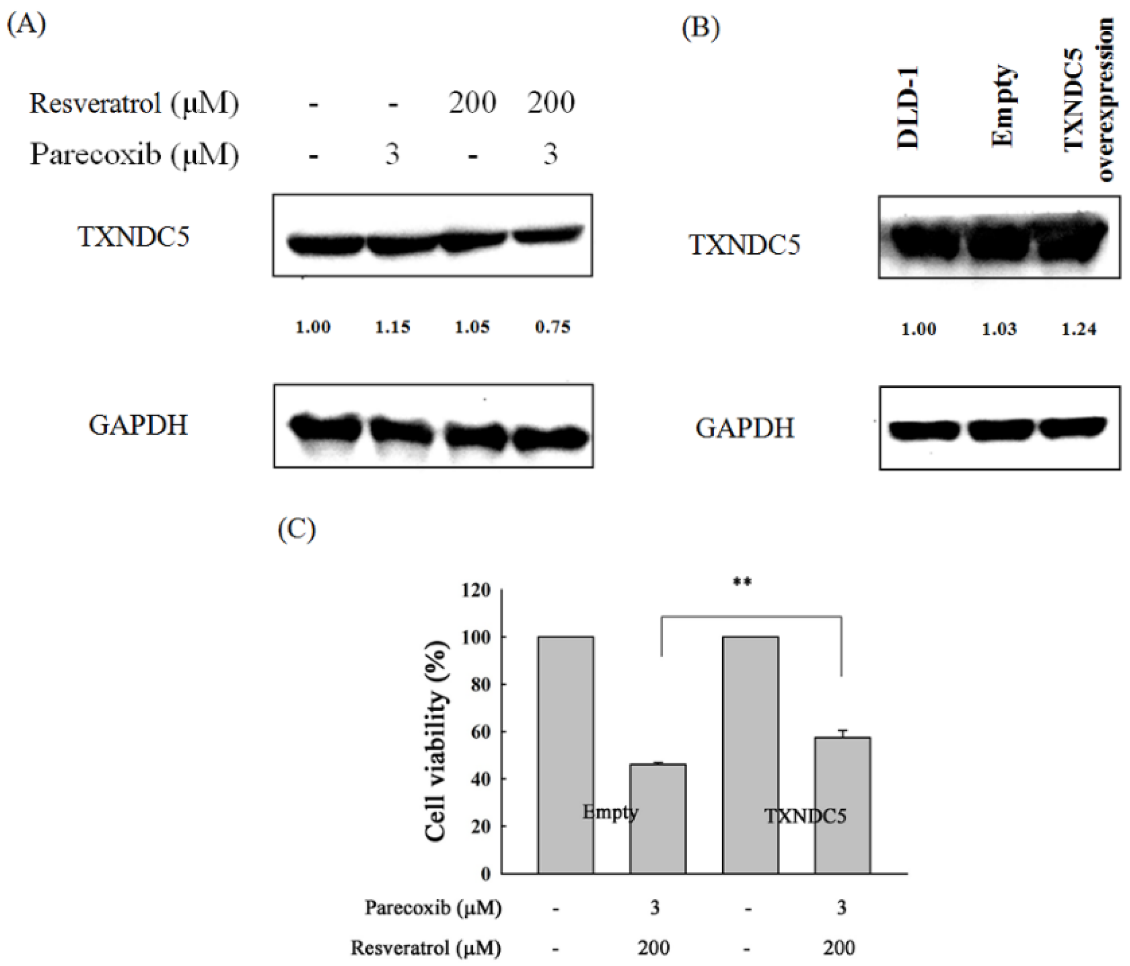 Nutrients 16 03020 g005