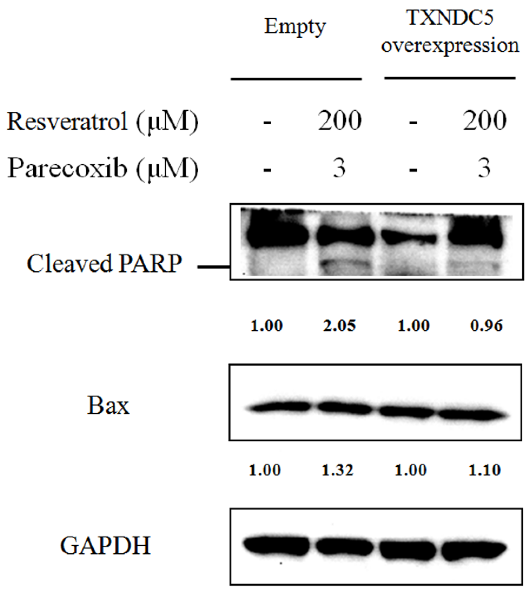 Nutrients 16 03020 g006