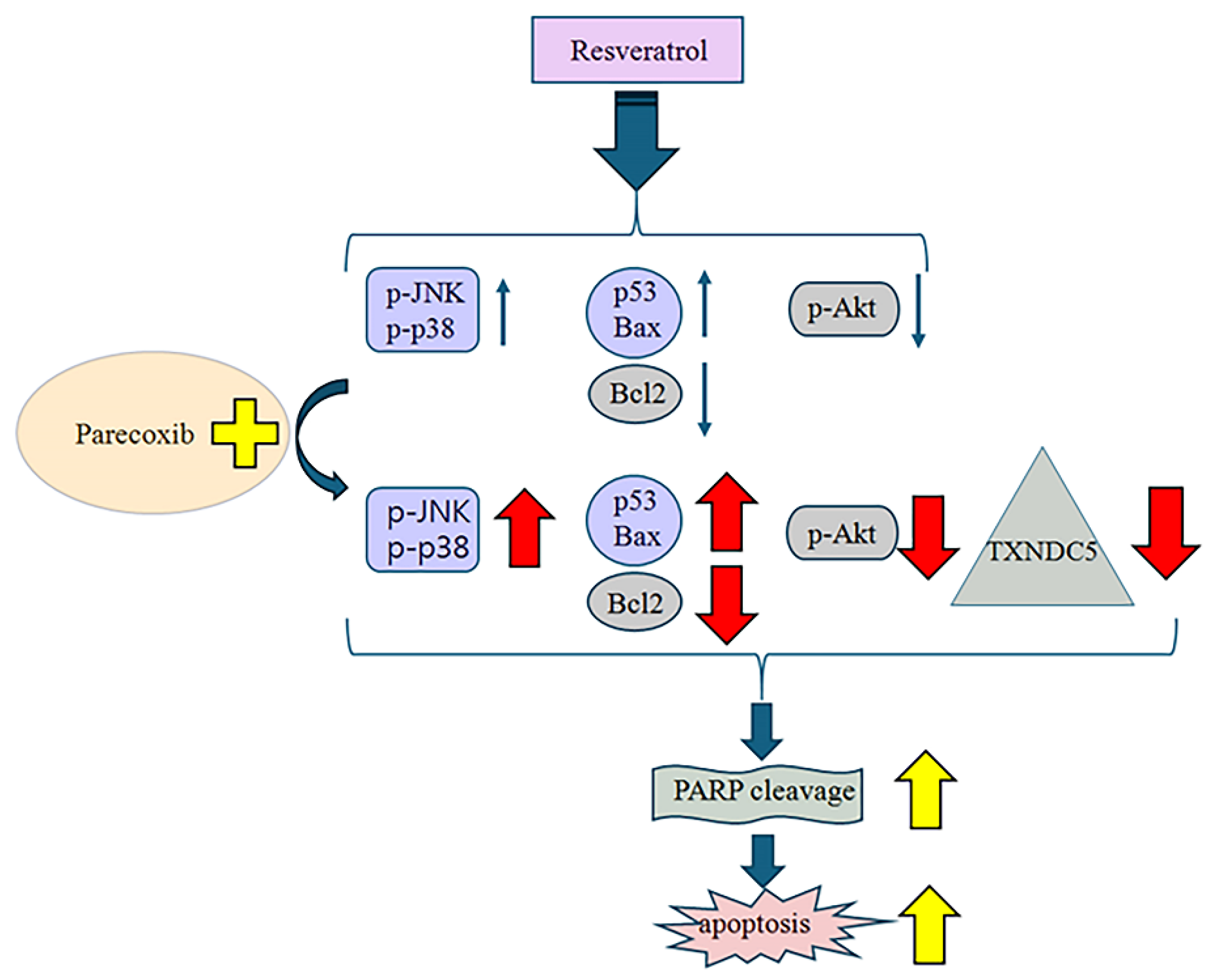 Nutrients 16 03020 g009