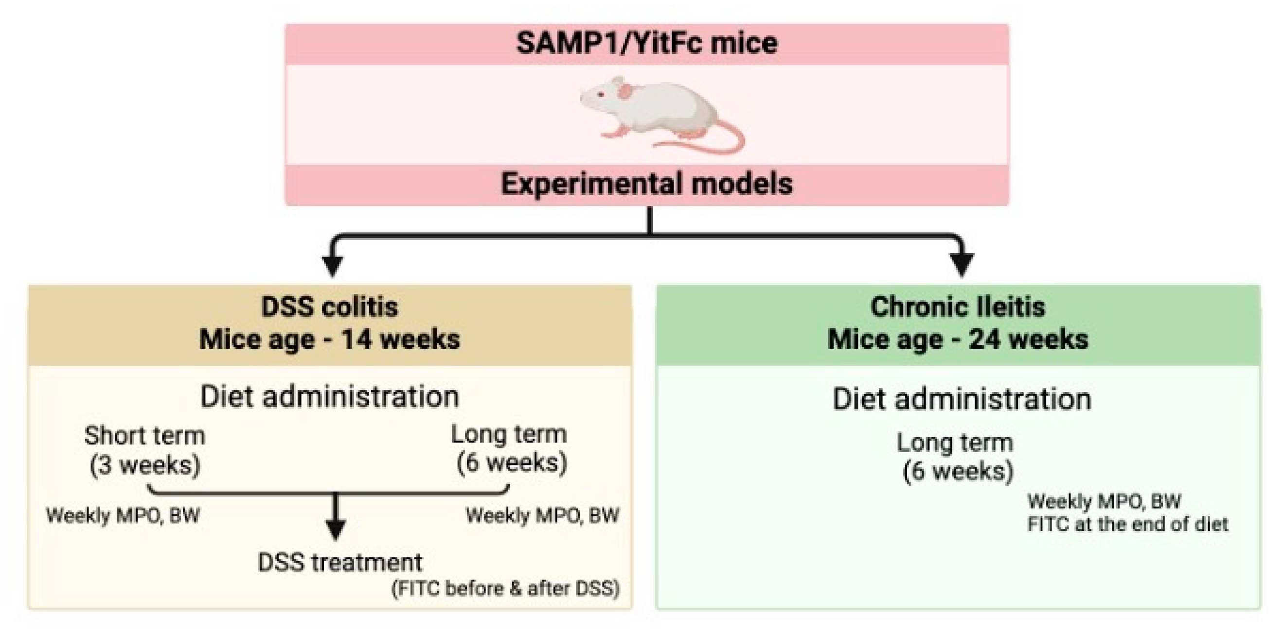 Nutrients 16 03031 g001