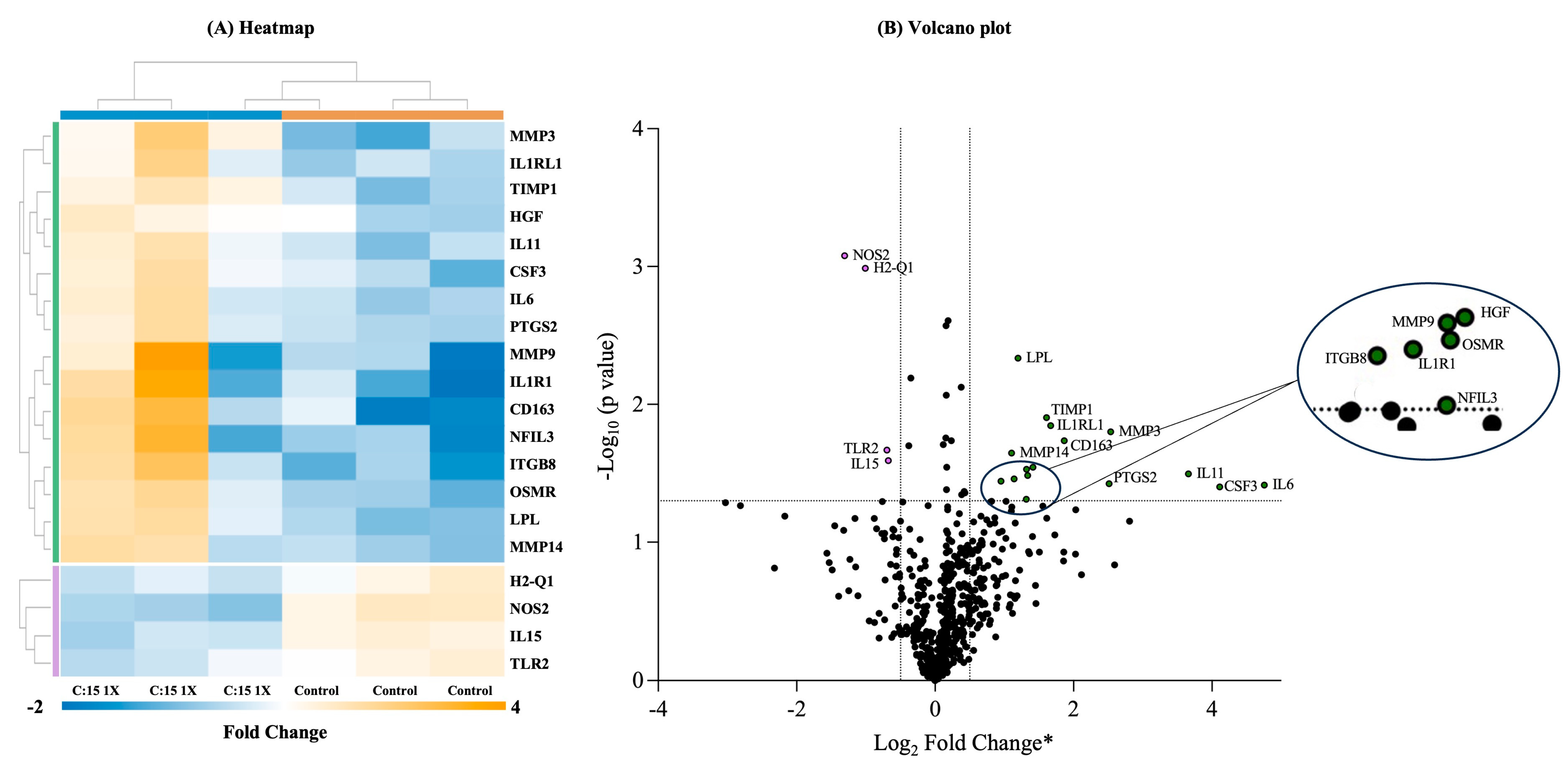 Nutrients 16 03031 g005