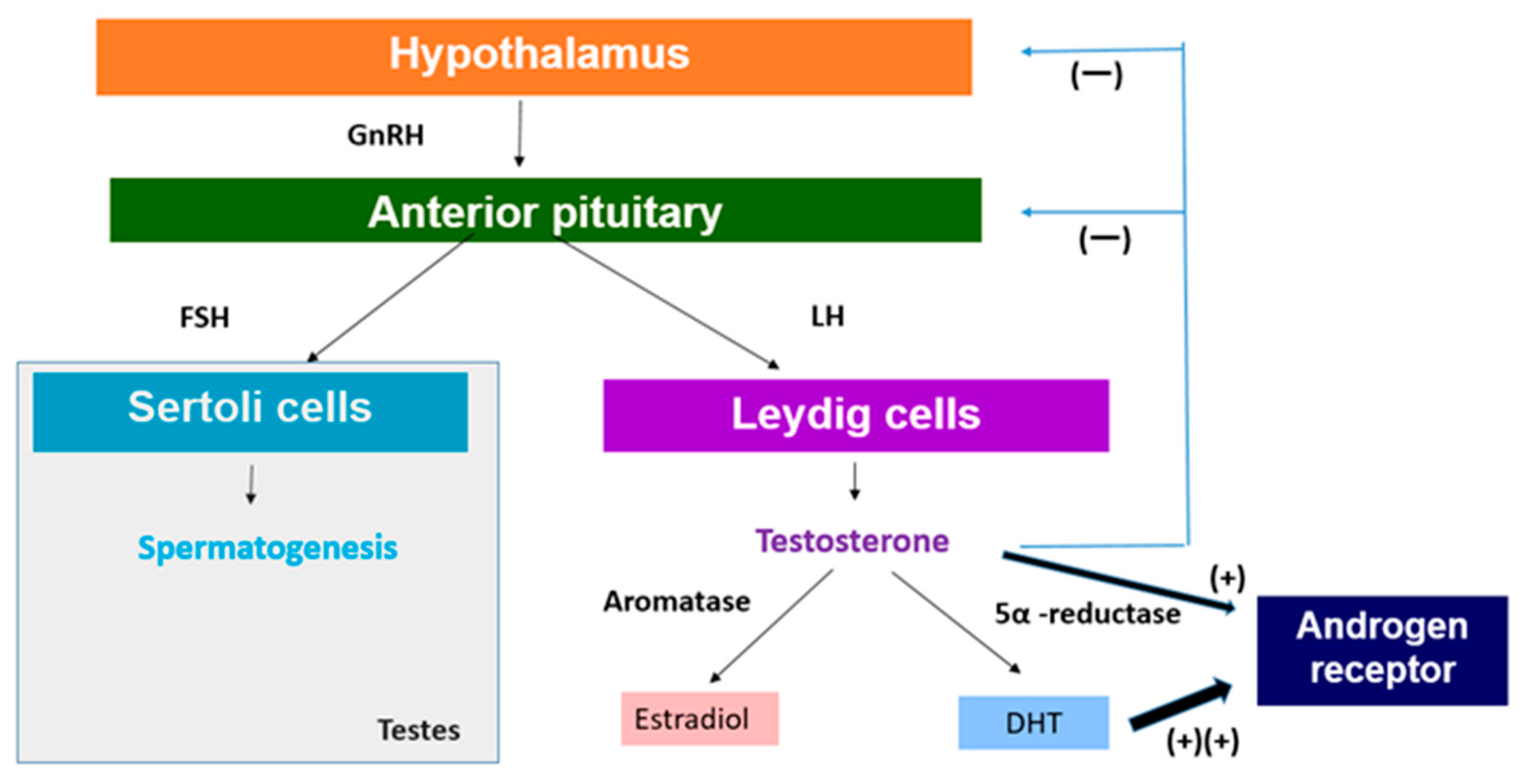 Nutrients 16 03032 g001