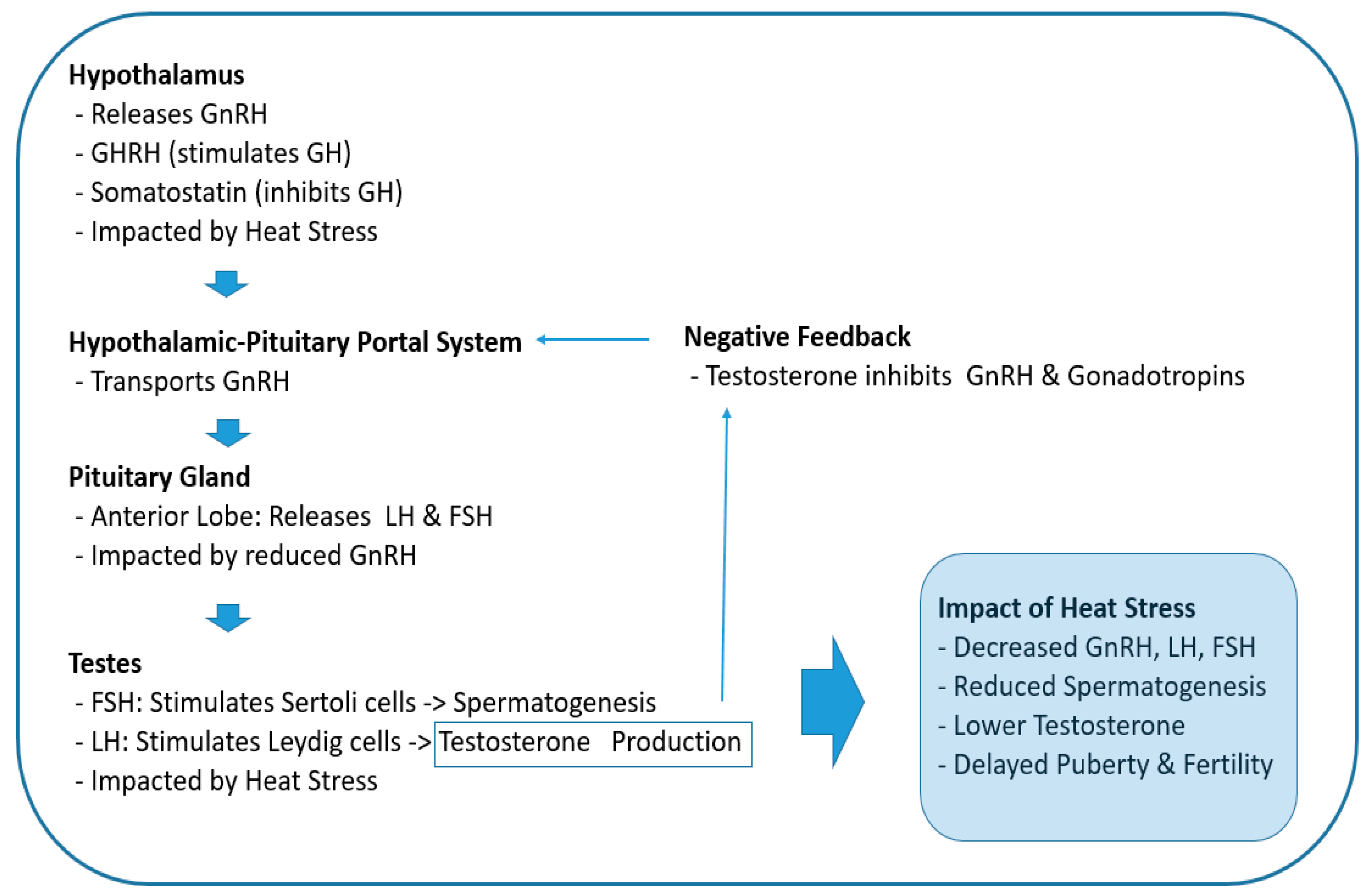 Nutrients 16 03032 g002