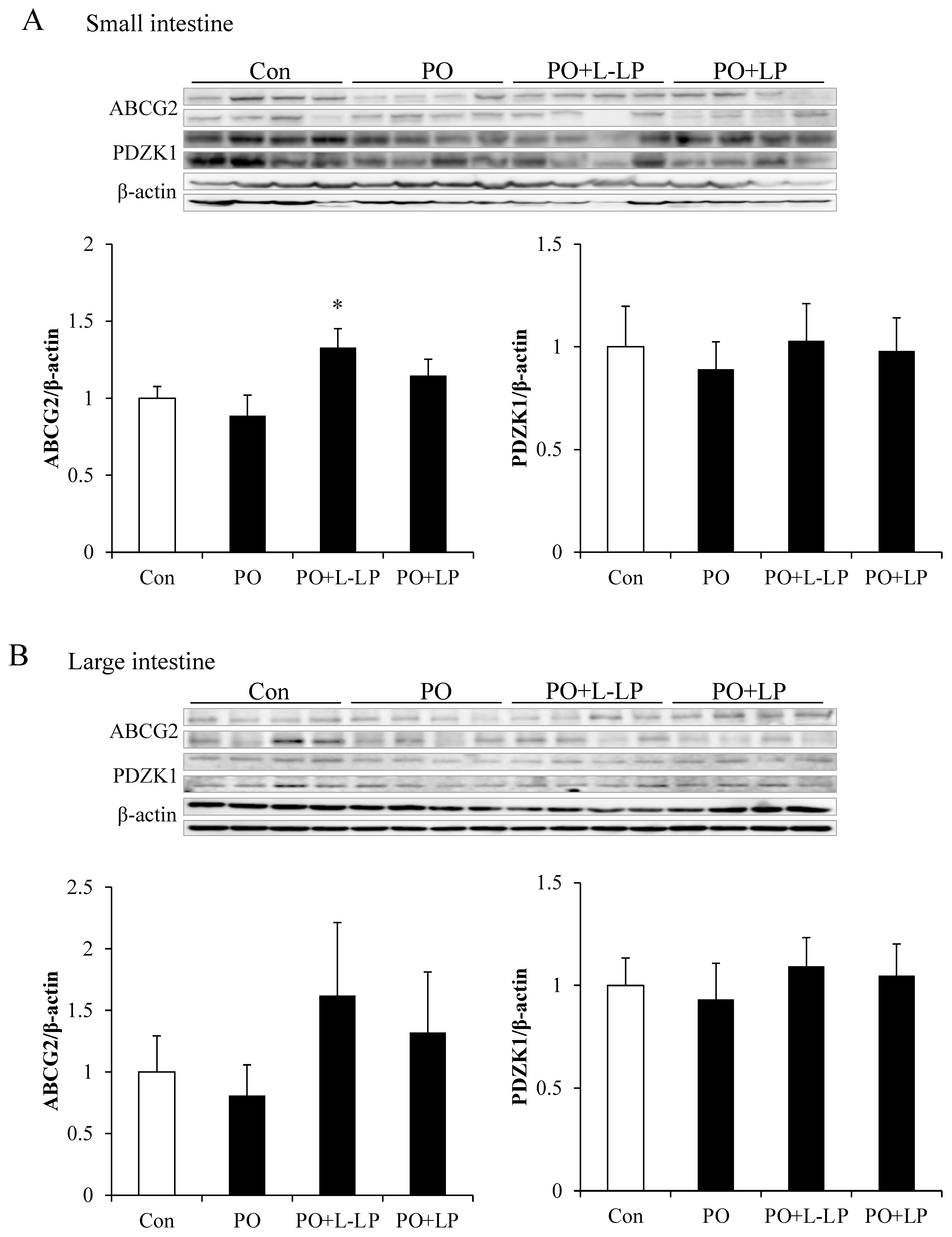 Nutrients 16 03042 g003