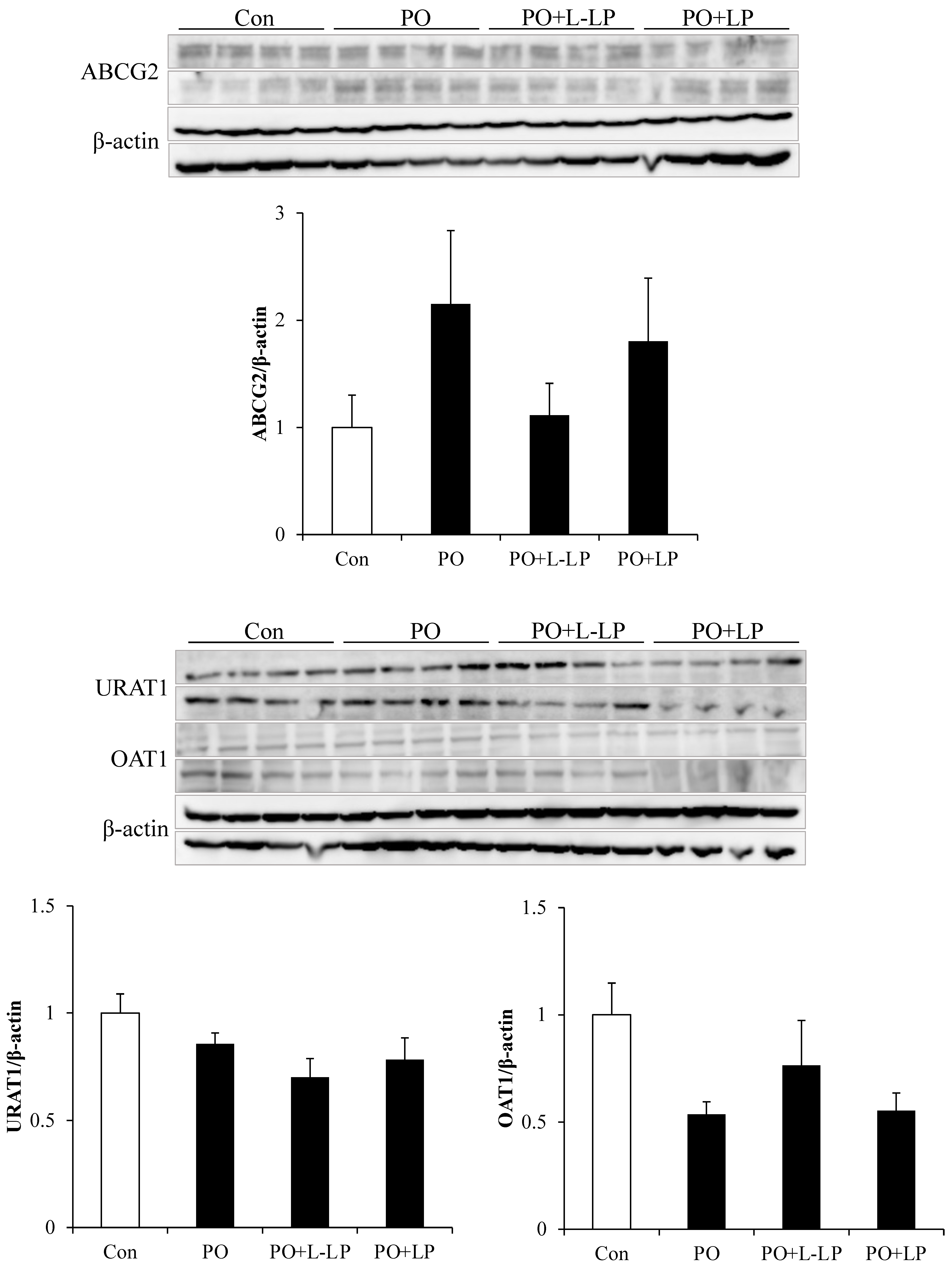 Nutrients 16 03042 g004