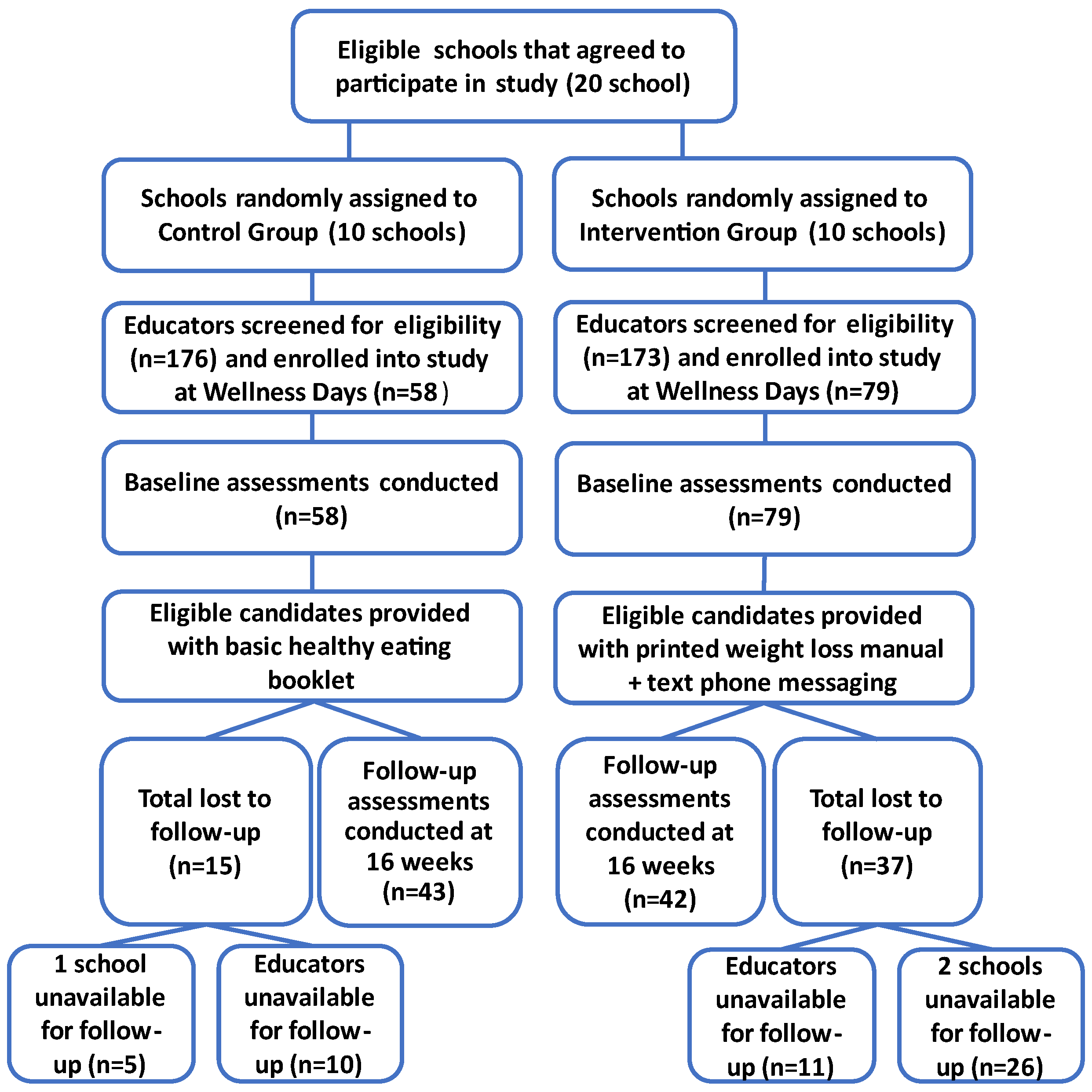 Nutrients 16 03062 g002 Nutrients 16 03062 g002