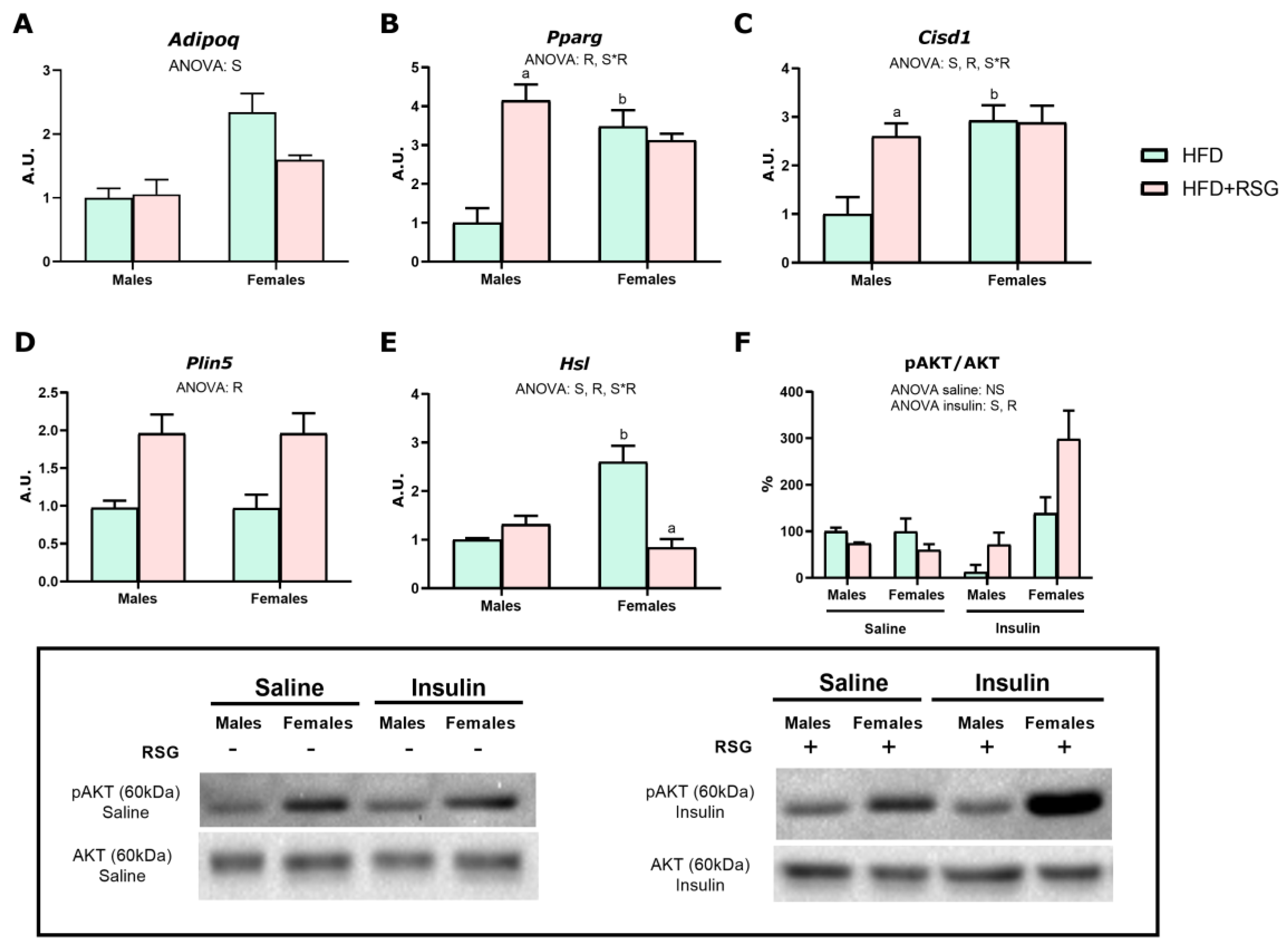 Nutrients 16 03063 g003