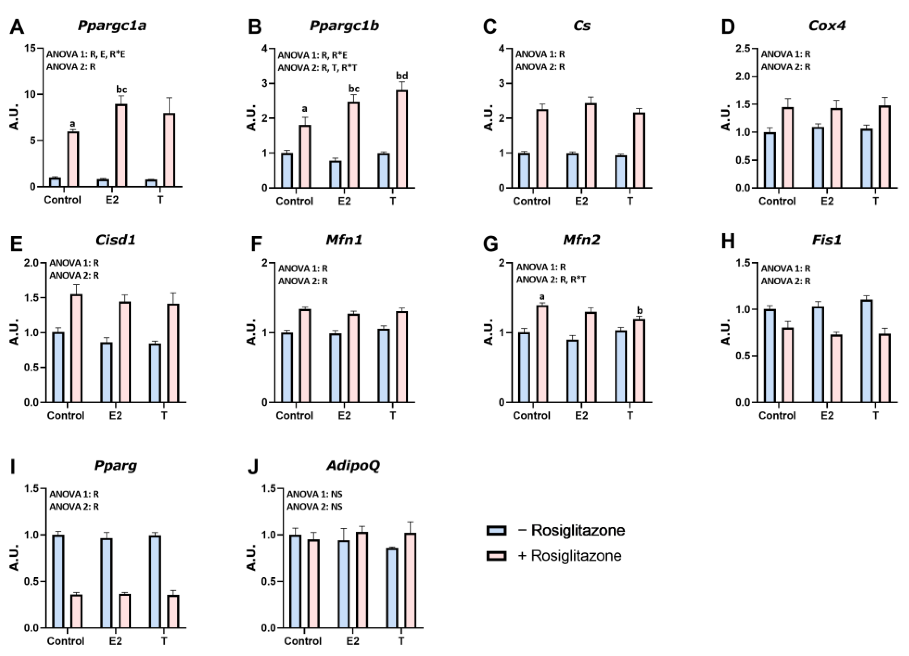 Nutrients 16 03063 g005