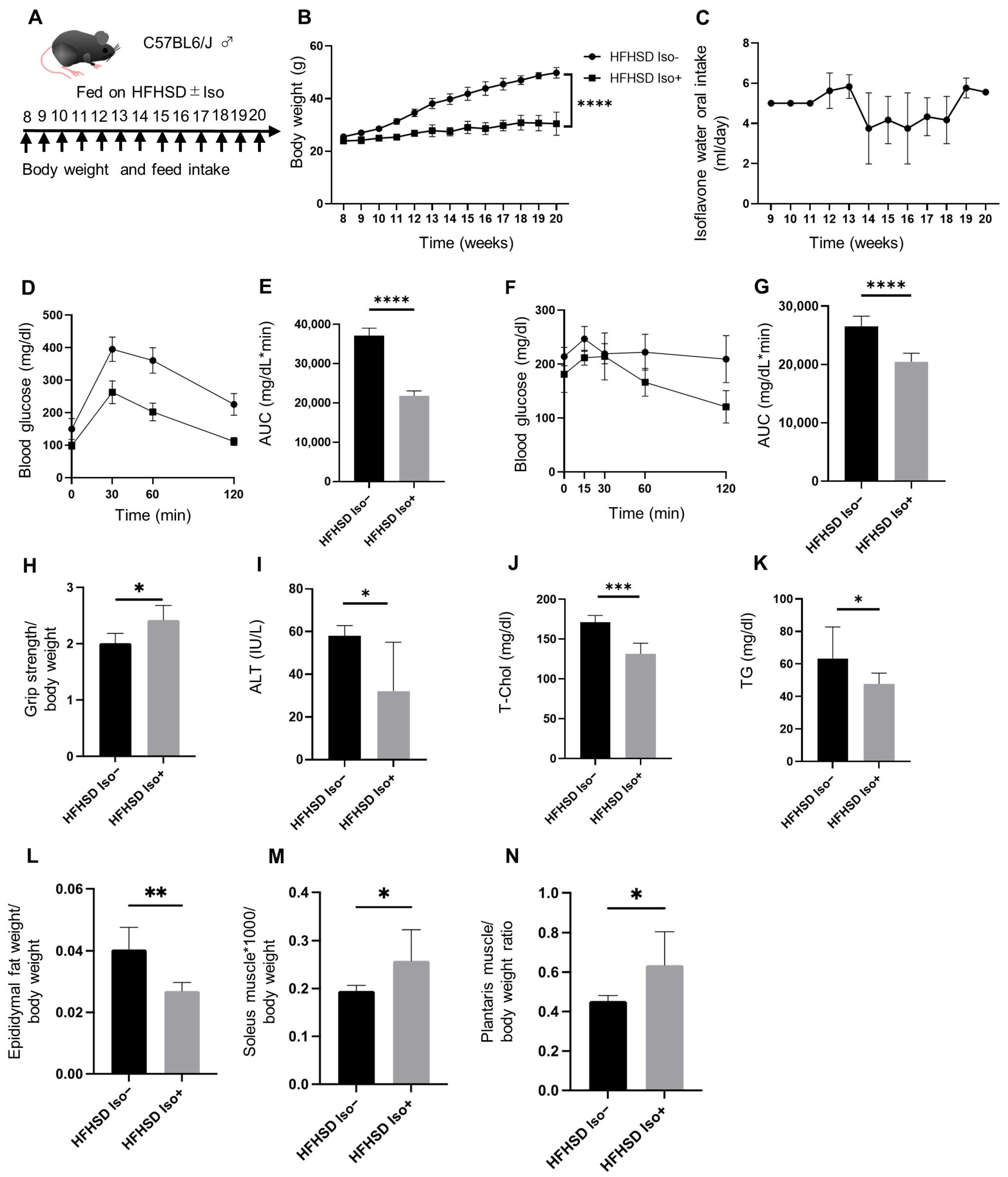 Nutrients 16 03084 g001