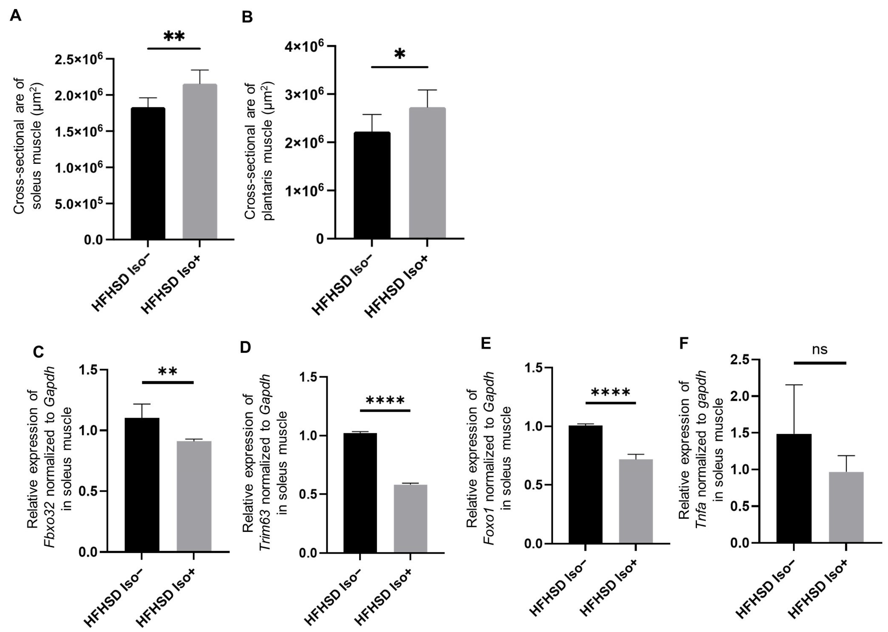 Nutrients 16 03084 g002