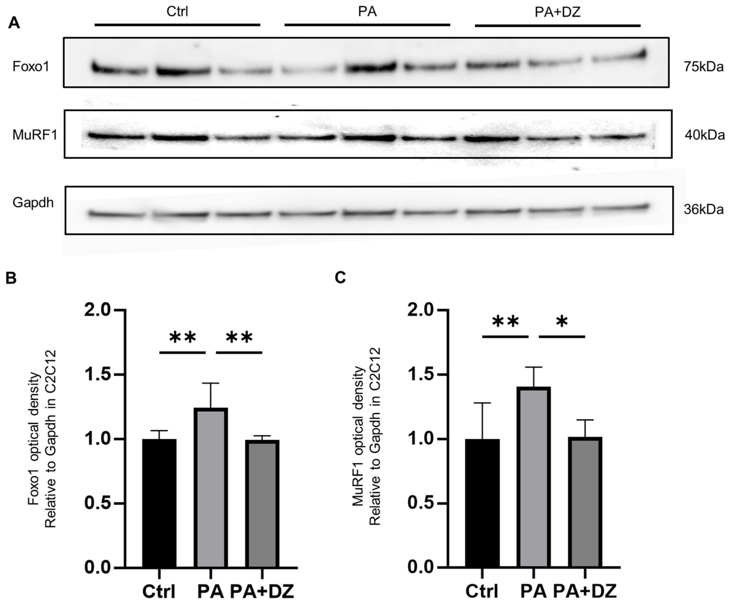 Nutrients 16 03084 g005