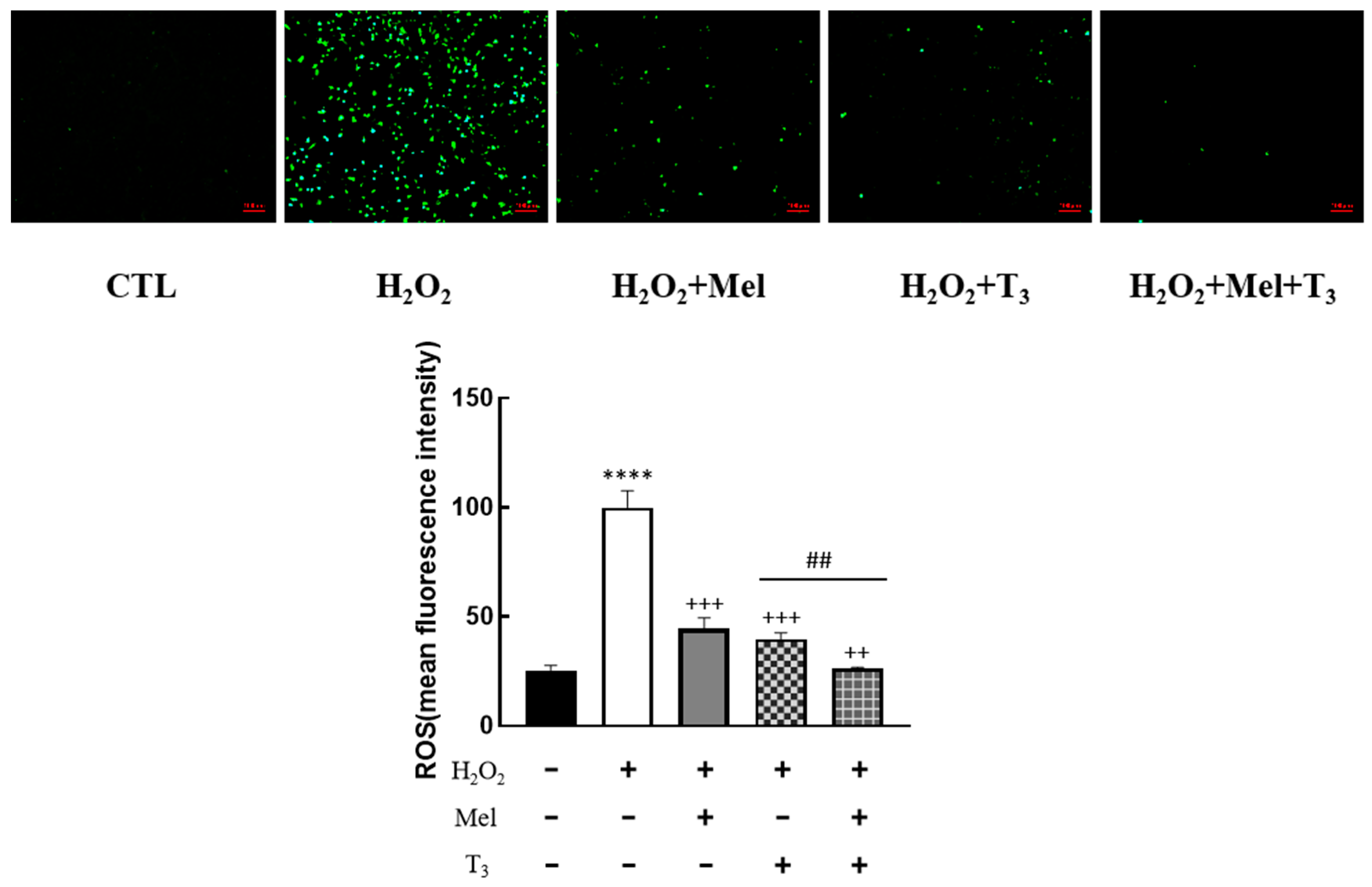 Nutrients 16 03085 g002