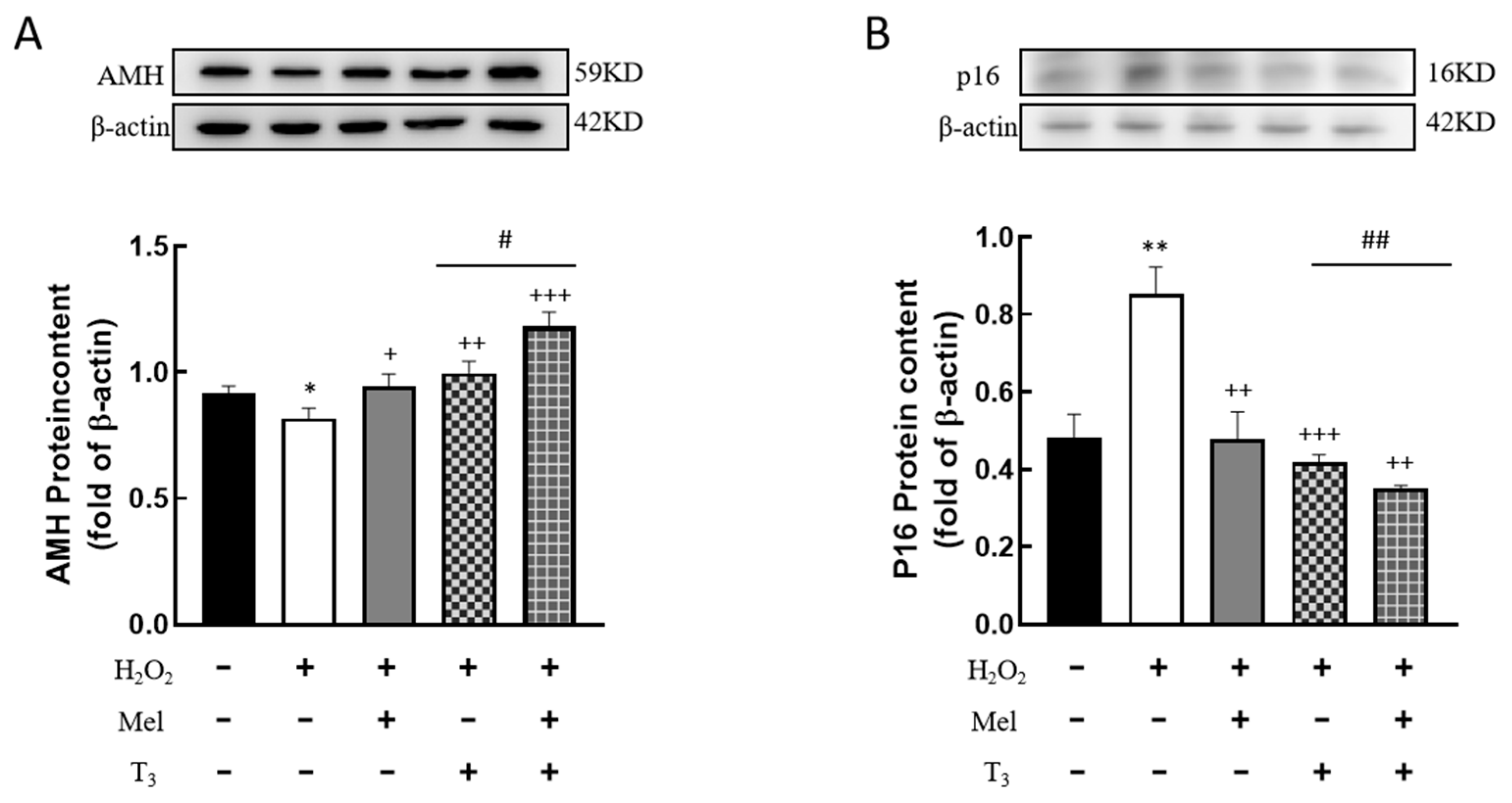 Nutrients 16 03085 g005