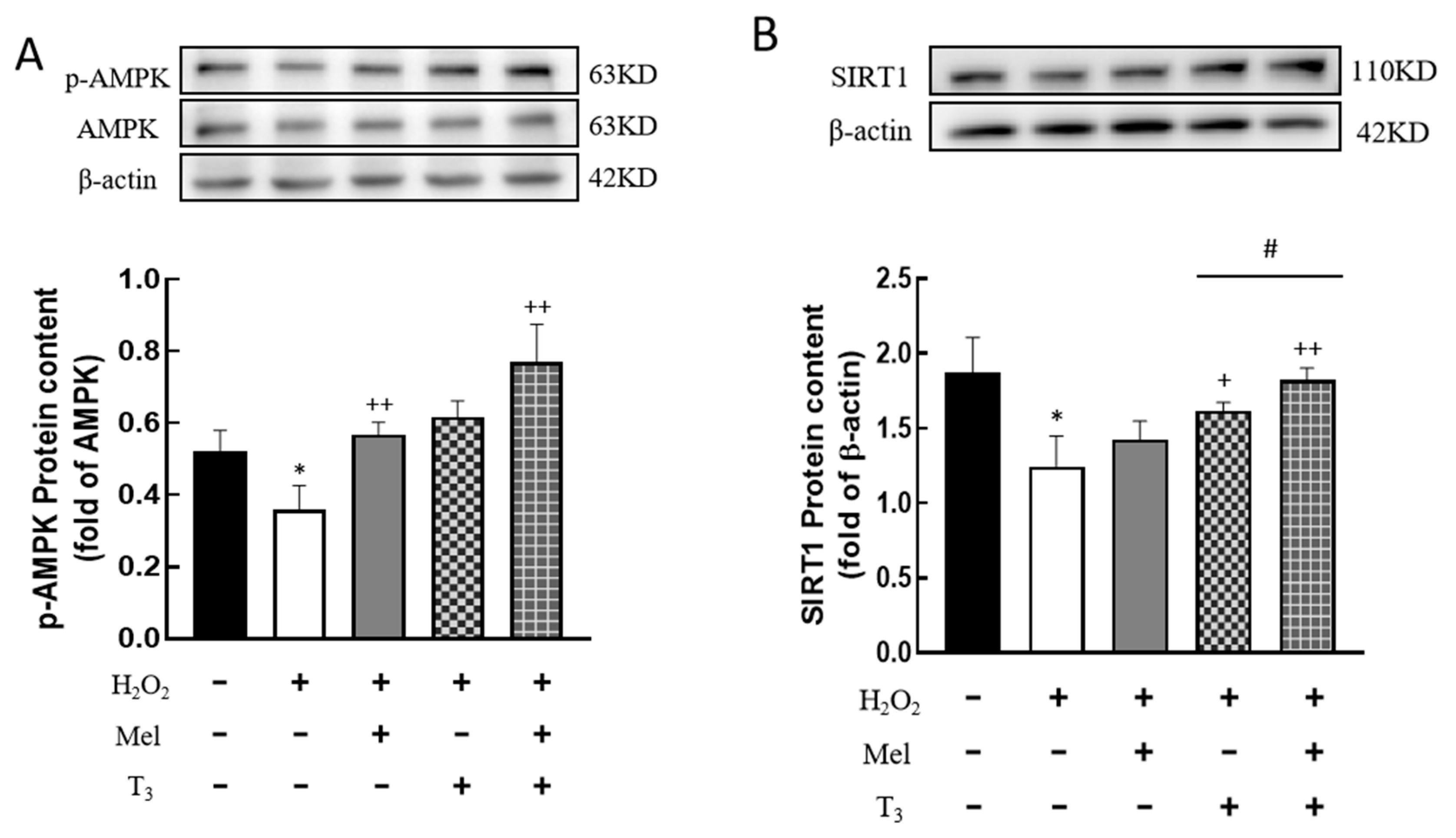Nutrients 16 03085 g007
