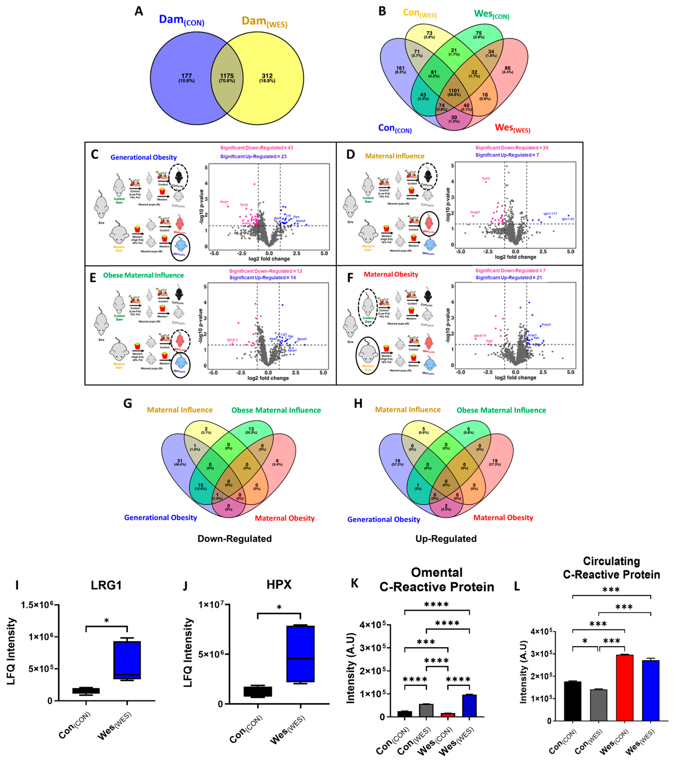 Nutrients 16 03086 g003