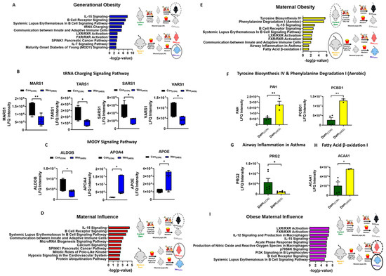 Nutrients 16 03086 g005